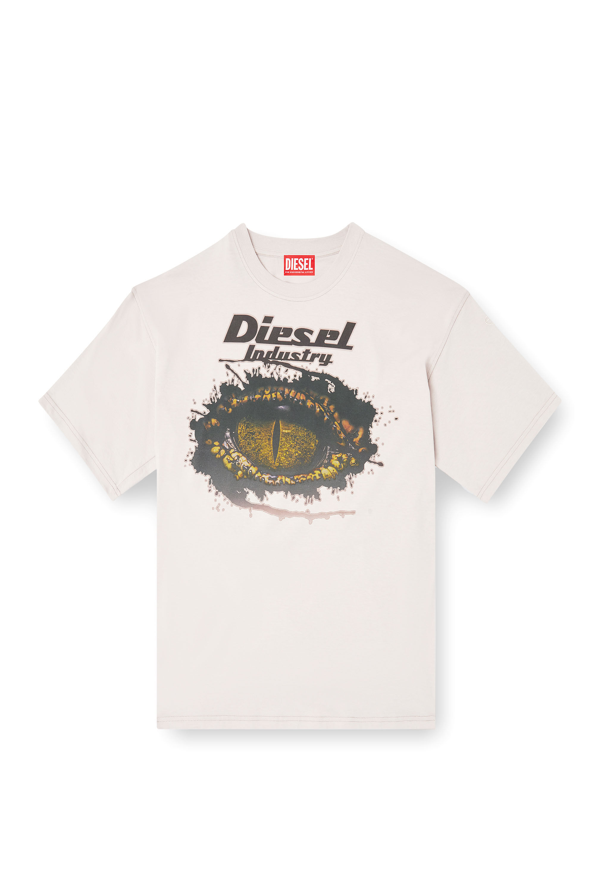 Diesel - T-BOXT-T25, T-shirt in cotone con stampa digitale Uomo in Grigio - 2