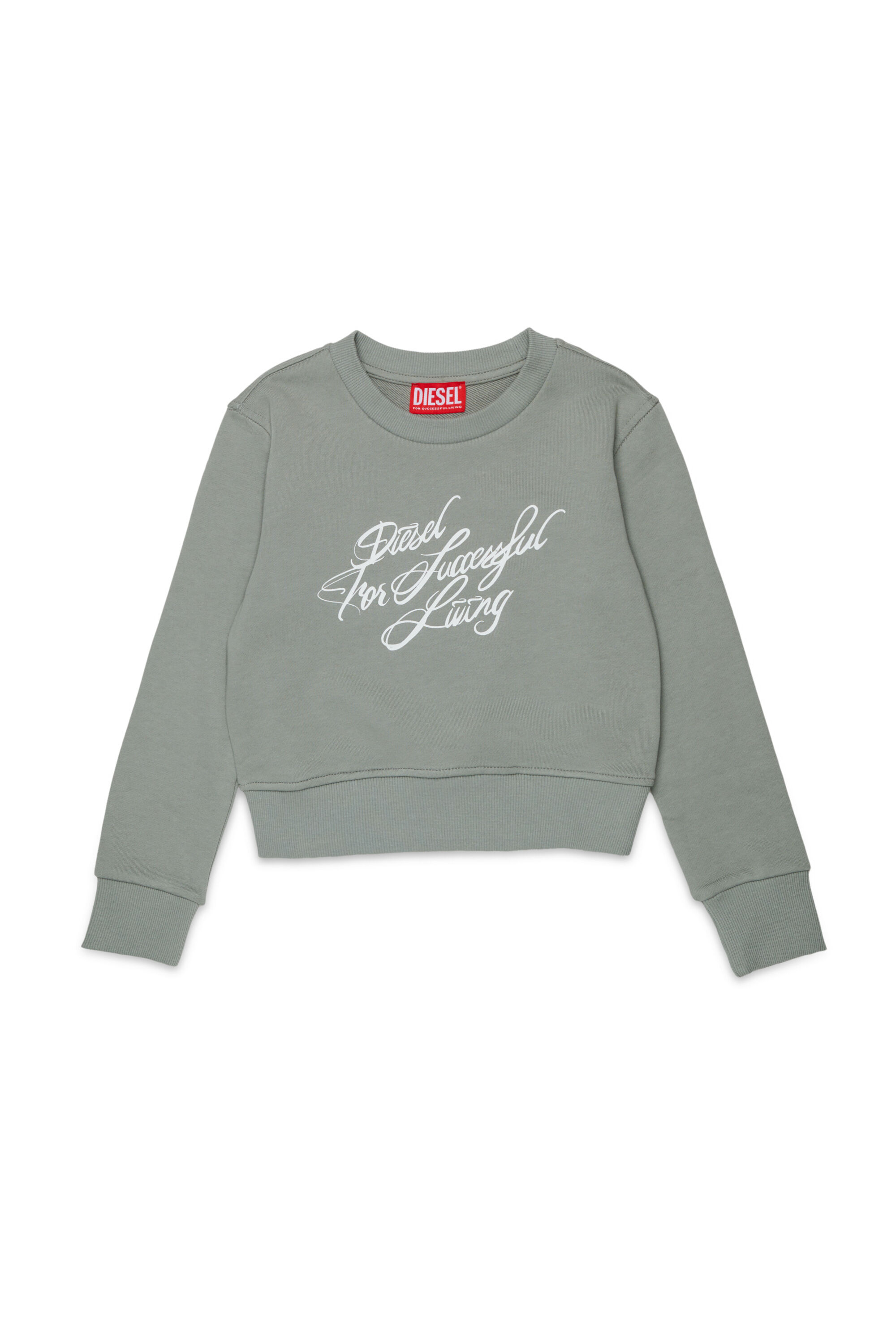 Diesel - SCRIPT, Felpa corta con stampa a scritta Donna in Grigio - 1
