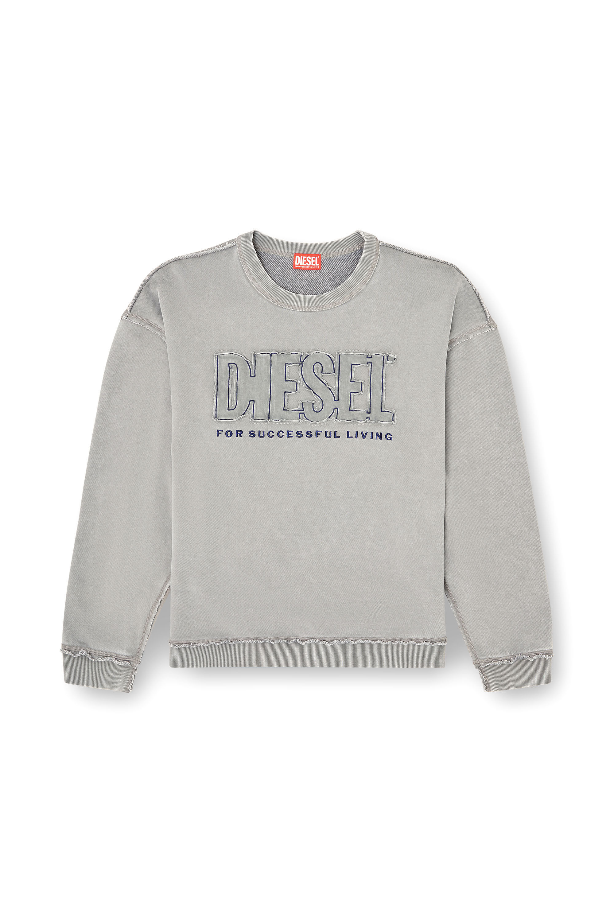 Diesel - S-BOXT-RAW-V1, Felpa in cotone con logo applicato Uomo in Grigio - 2