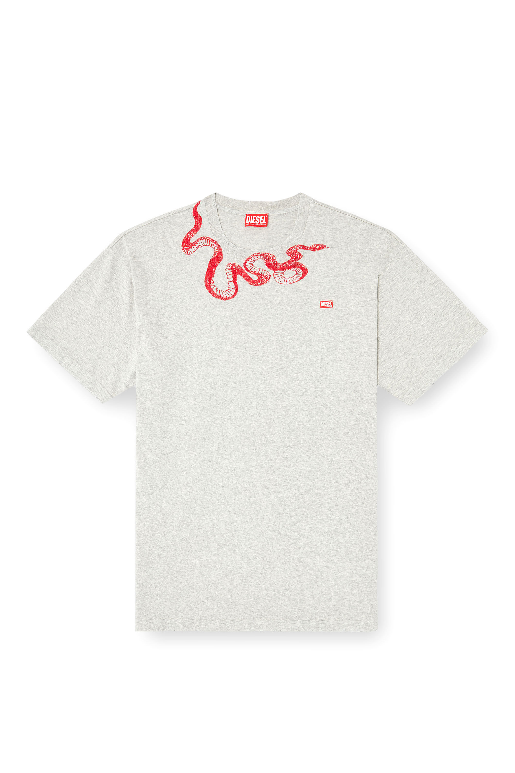 Diesel - CL-T-BOXT-MEL-SNAKE, T-shirt con ricamo snake Unisex in Grigio - 2