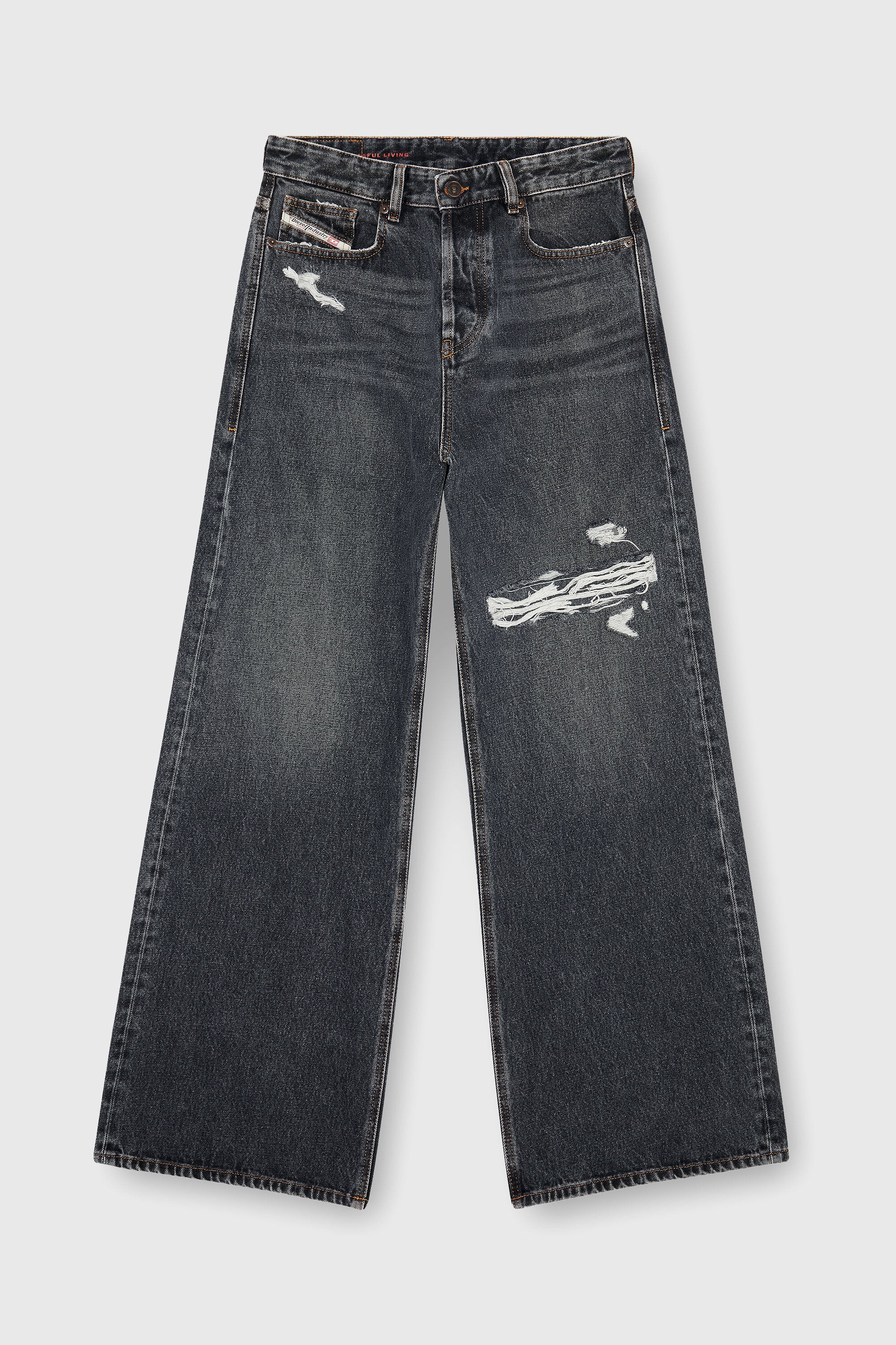Diesel - Relaxed Jeans 1996 D-Sire 007F6 Unisex, Nero/Grigio scuro - Image 6