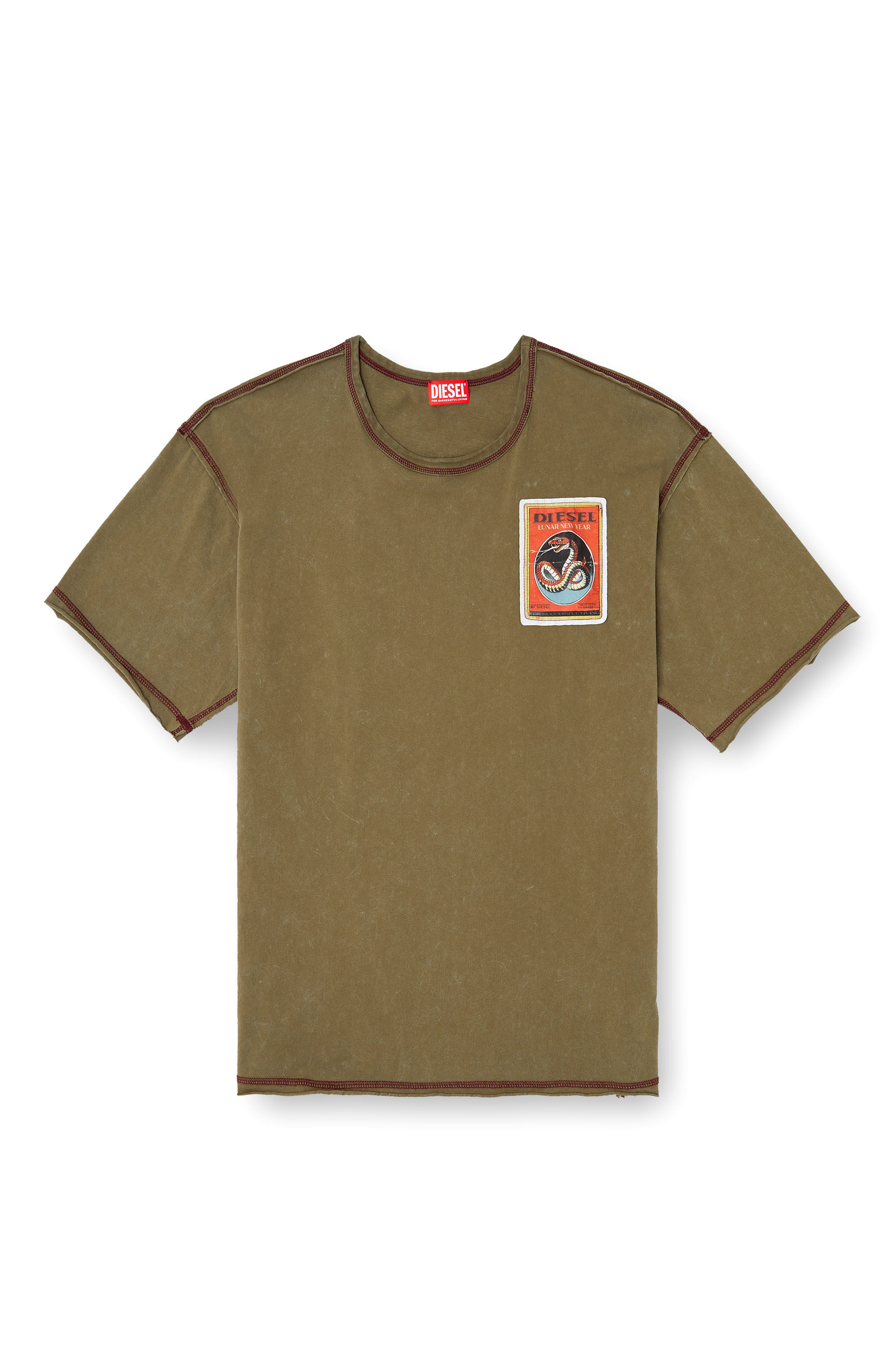 Diesel - CL-T-BOXT-SNAKE, T-shirt trattata con patch snake Unisex in Verde - 2