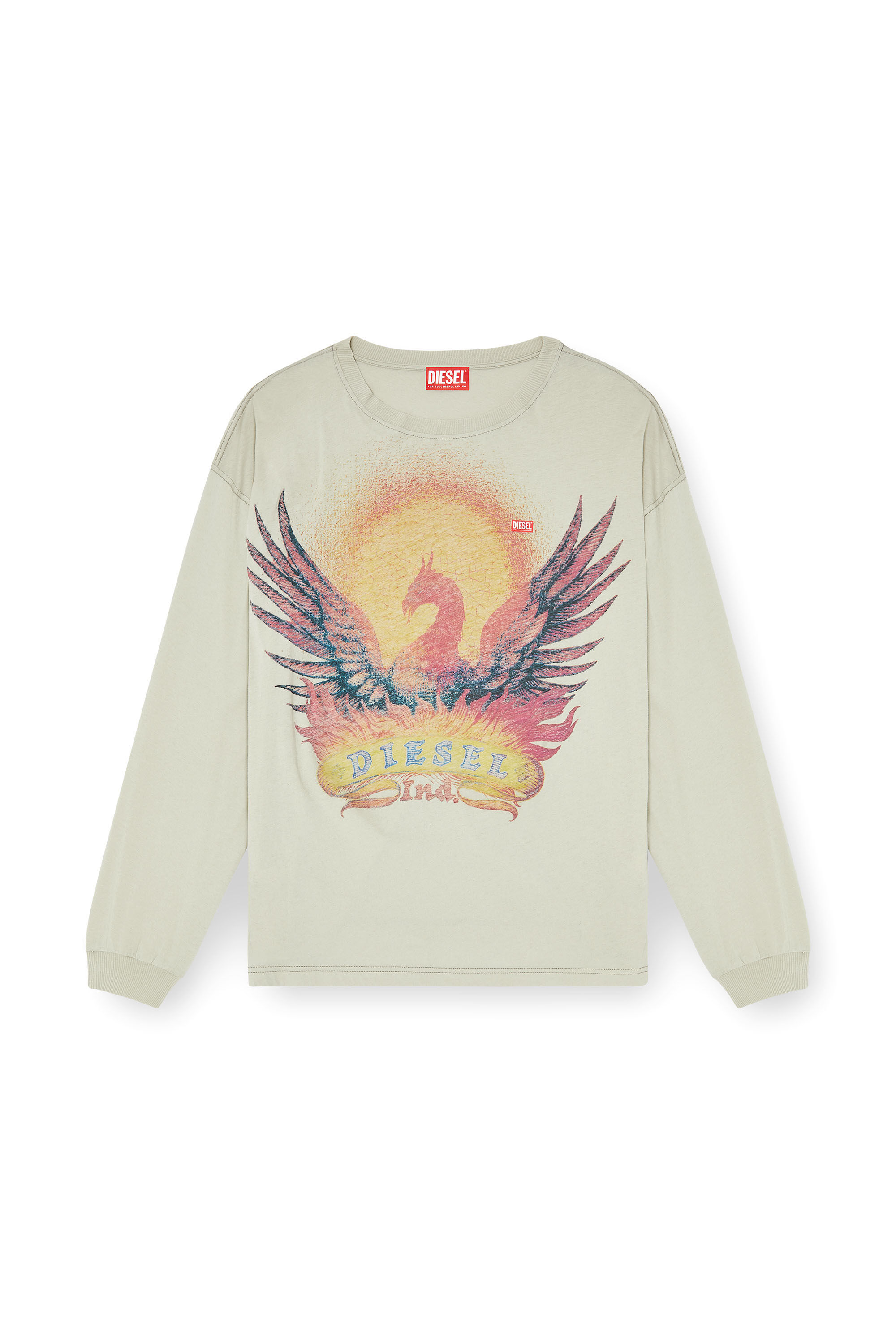 Diesel - T-BOXT-LS-AA1, T-shirt a manica lunga con grafica Phoenix Uomo in Beige - 2
