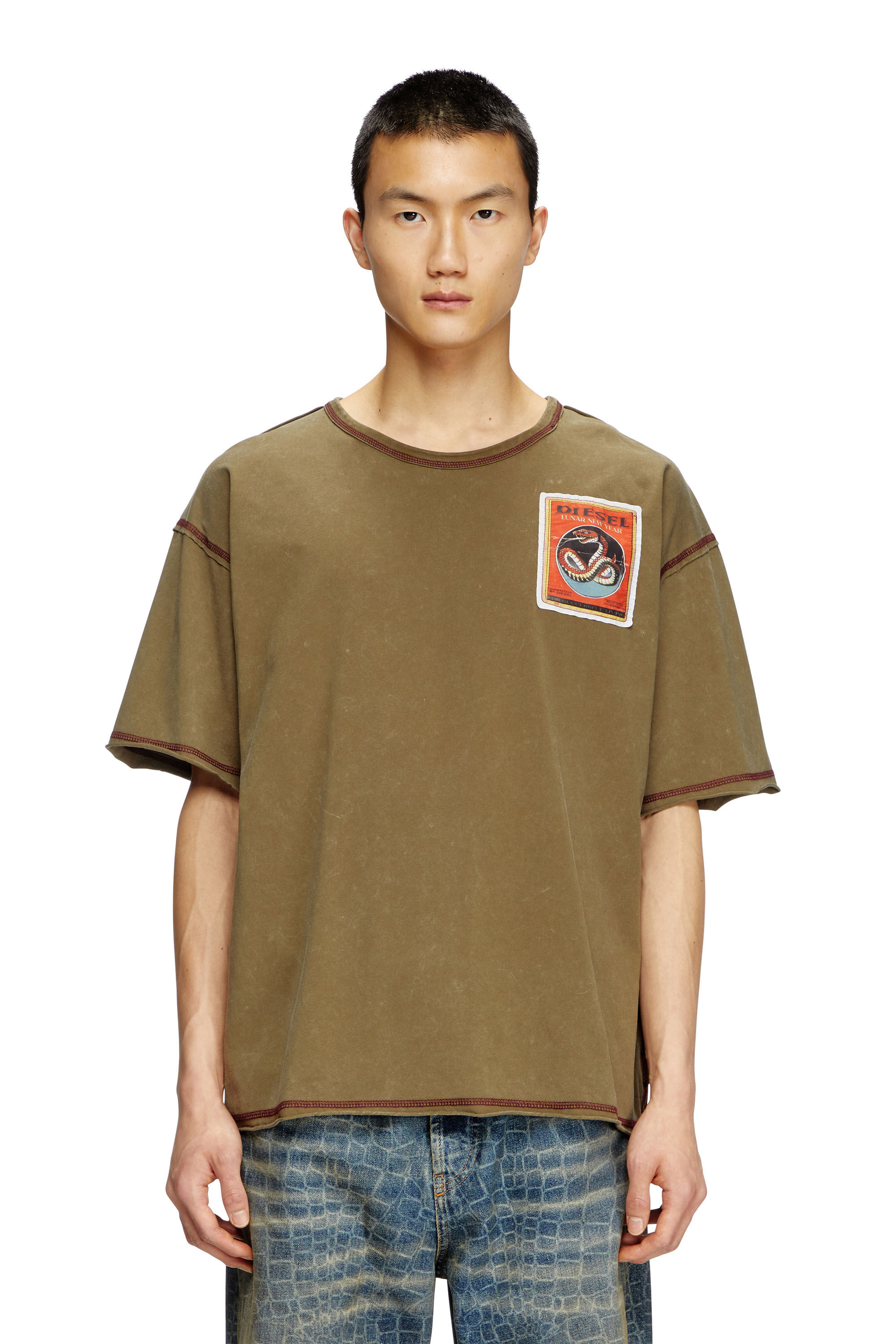 Diesel - CL-T-BOXT-SNAKE, T-shirt trattata con patch snake Unisex in Verde - 3