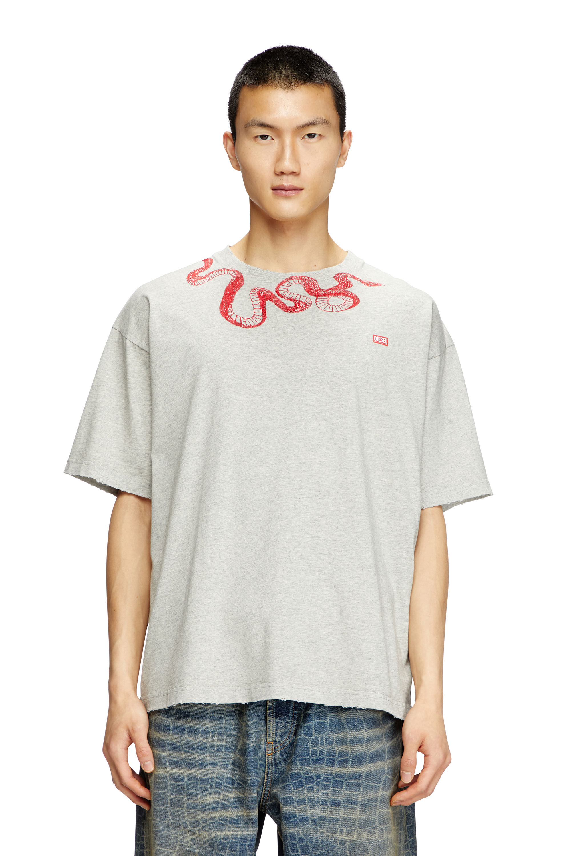 Diesel - CL-T-BOXT-MEL-SNAKE, T-shirt con ricamo snake Unisex in Grigio - 3