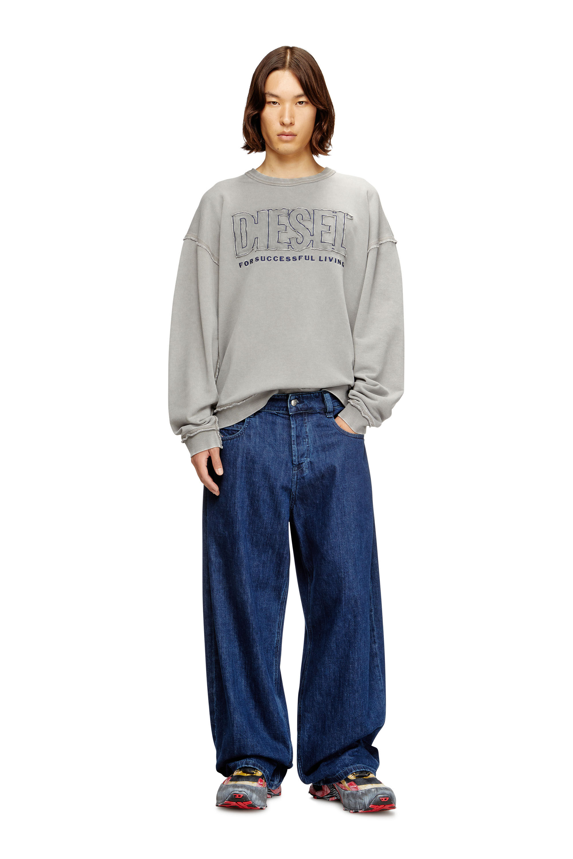 Diesel - S-BOXT-RAW-V1, Felpa in cotone con logo applicato Uomo in Grigio - 1