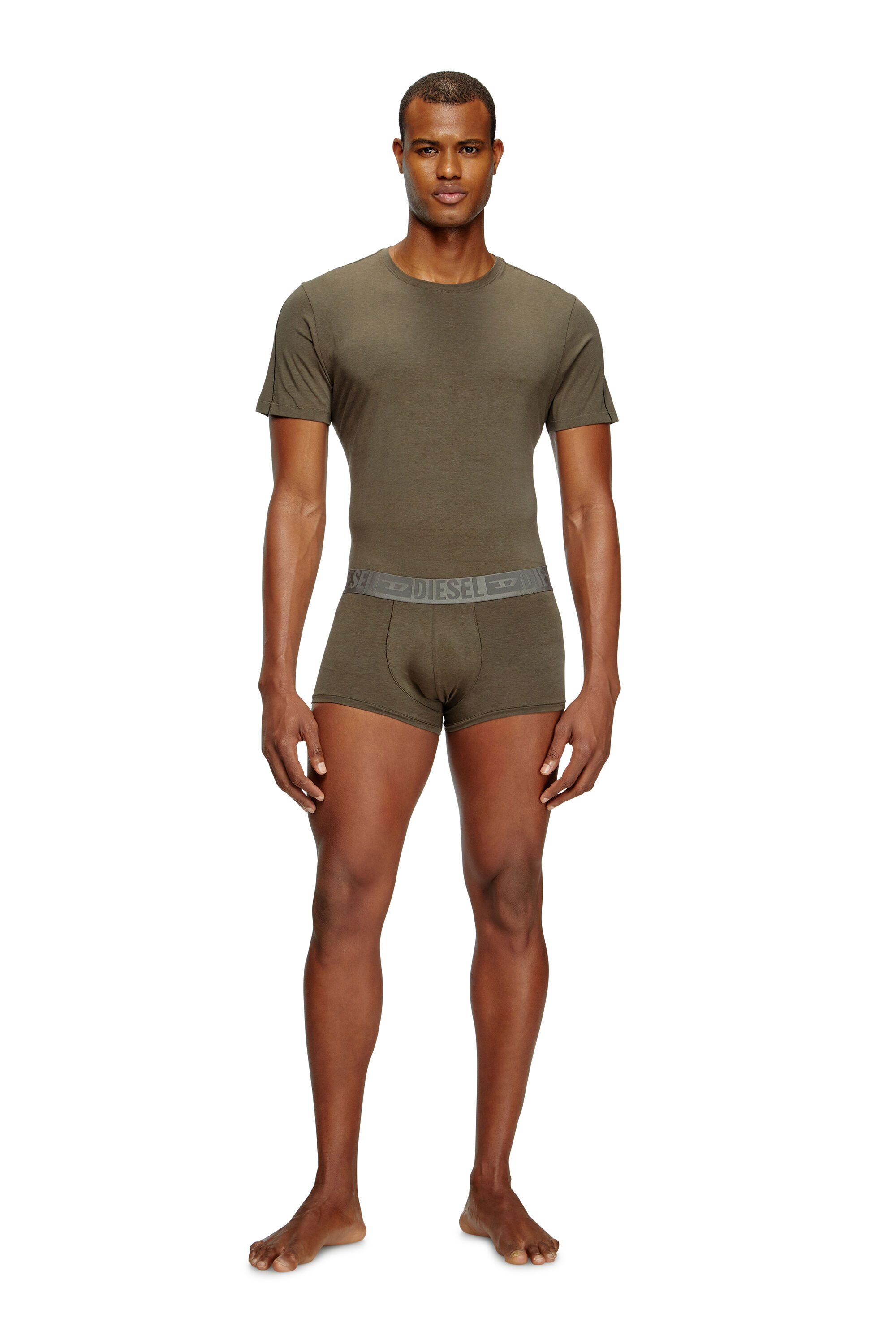 Diesel - RANDAL-D-MONO-2PACK, Set da due T-shirt in jersey fluido Uomo in Multicolor - 1