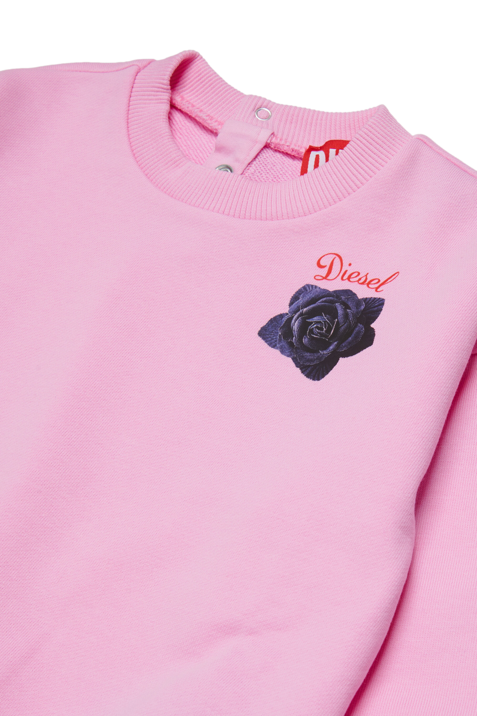 Diesel - SROSEB, Felpa in cotone con stampa rose Donna in Rosa - 3