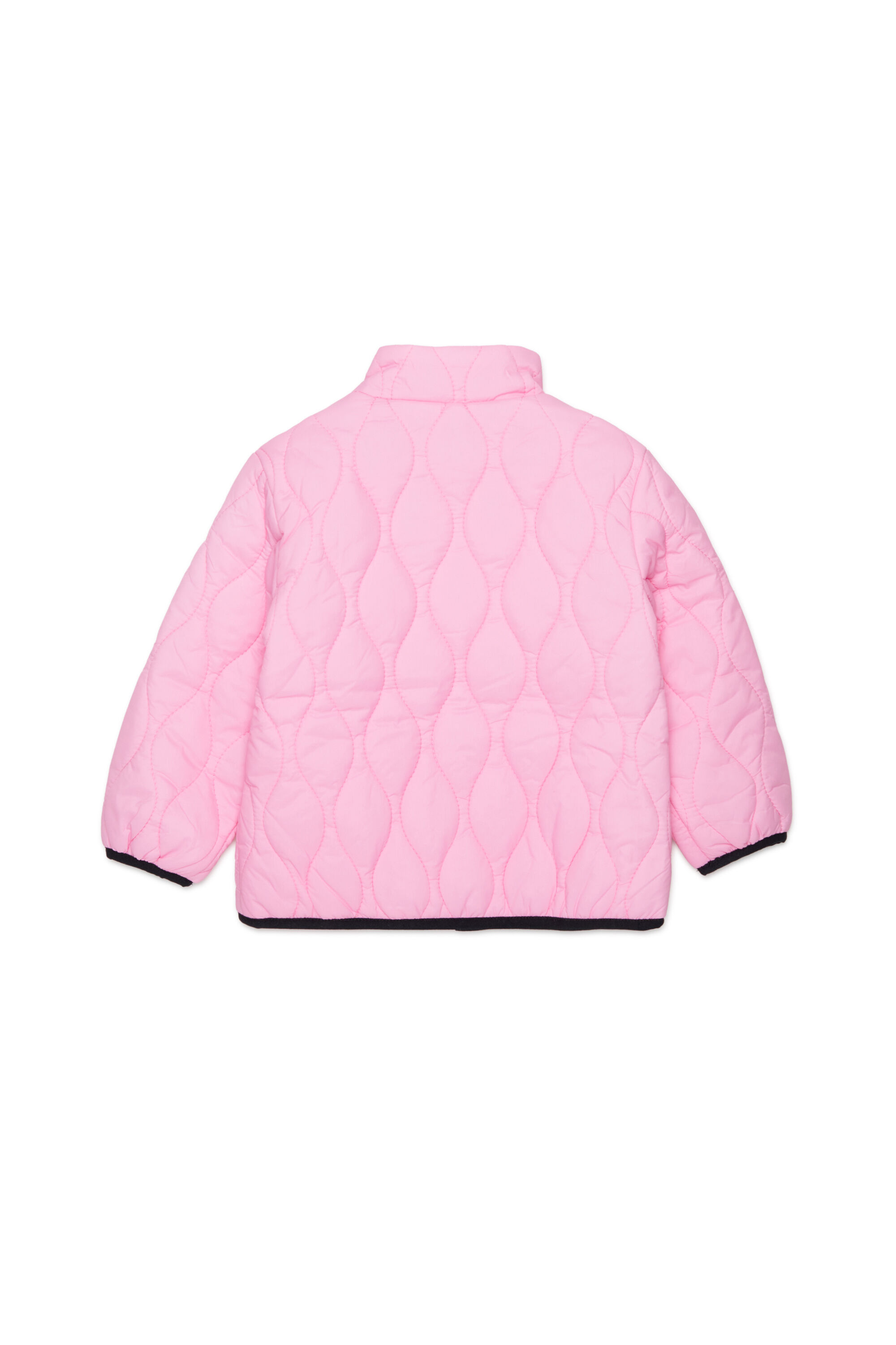 JONIONB, Rosa