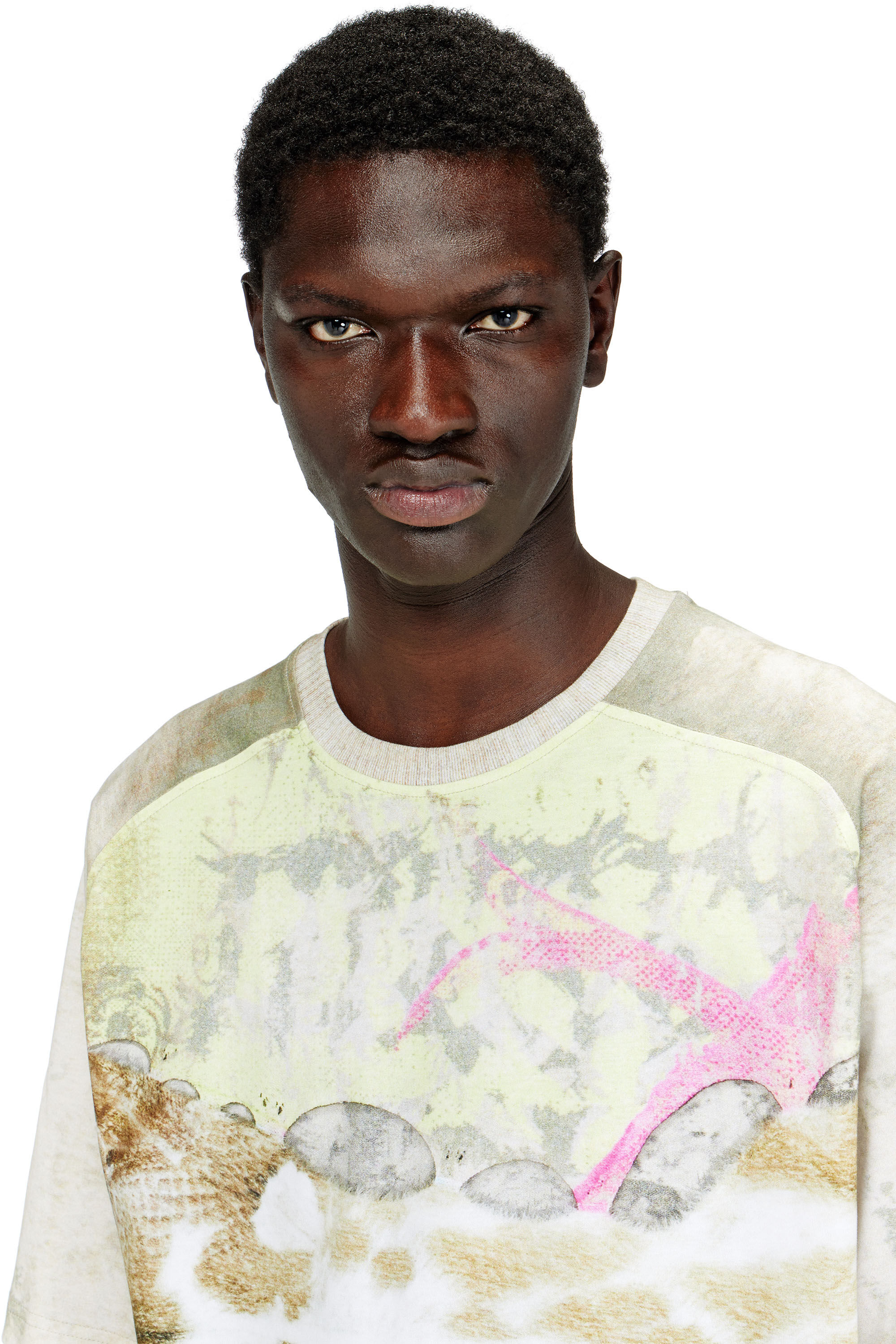 Diesel - T-CLINT, T-shirt con stampa animale Uomo in Grigio - 5