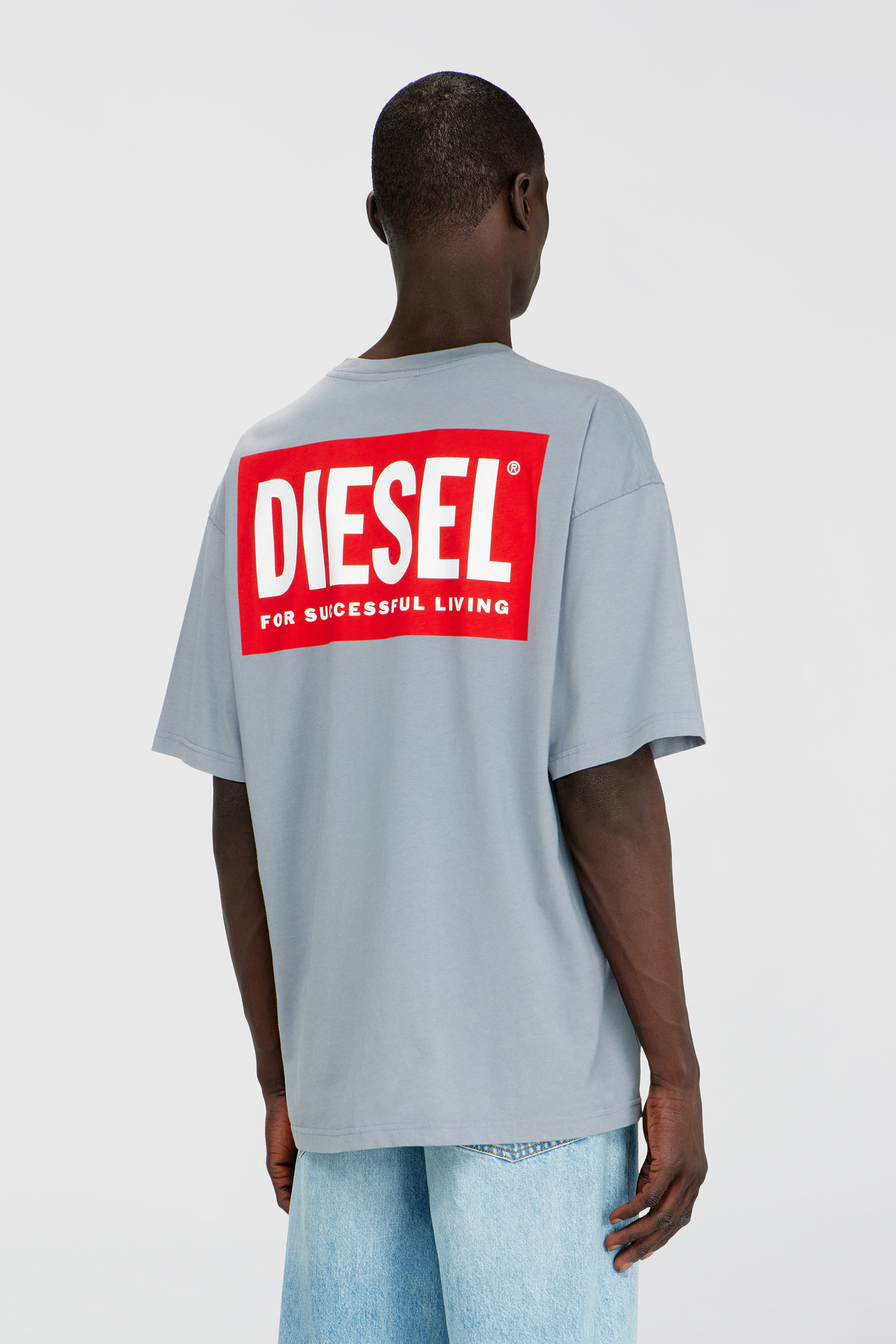 Diesel - T-BOXT-BISK, T-shirt in cotone con stampa Diesel Biscotto Uomo in Grigio - 4
