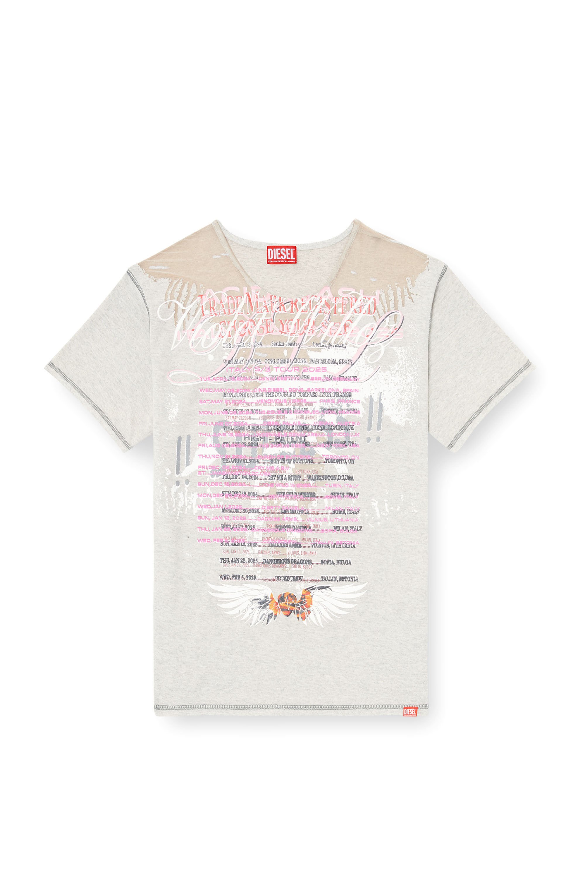 Diesel - T-NORMAC, T-shirt girocollo con stampa DJ Donna in Grigio - 2