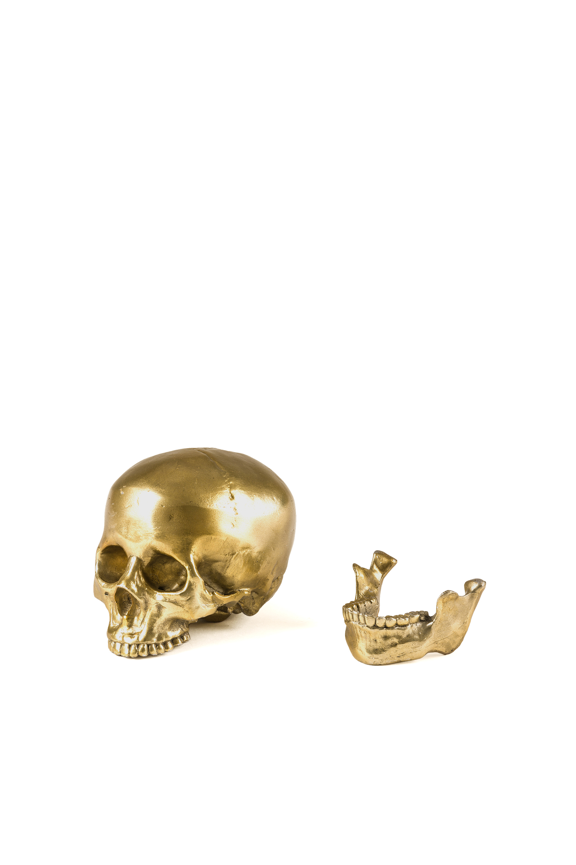 Diesel - 10891 Wunderkammer, "Culture Skullture" Wunderkammer Human Skull Unisex in Oro - 4
