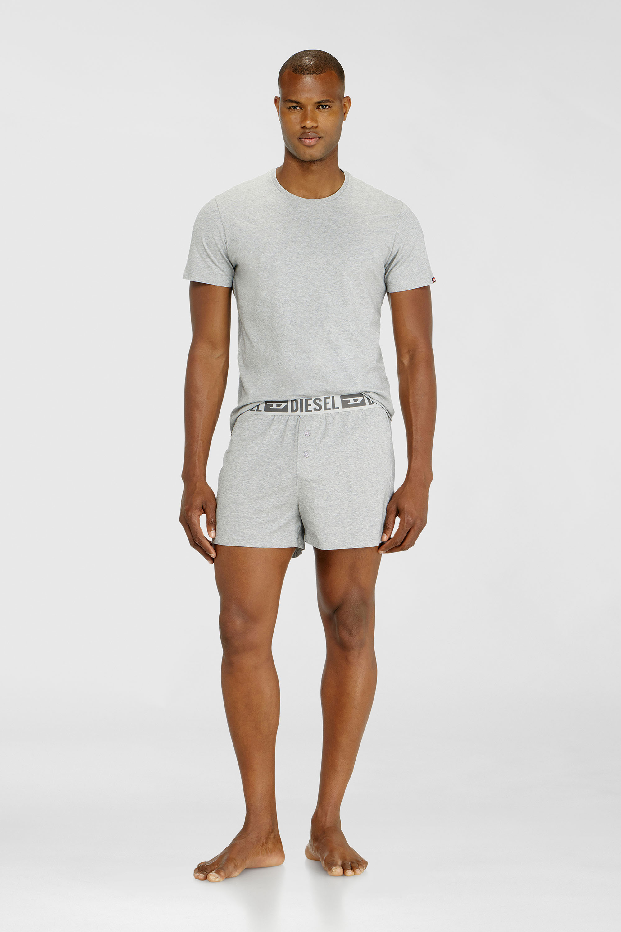 Diesel - STARKIE-D-CORE-2PACK, Set da due boxer lunghi in cotone stretch Uomo in Grigio - 1