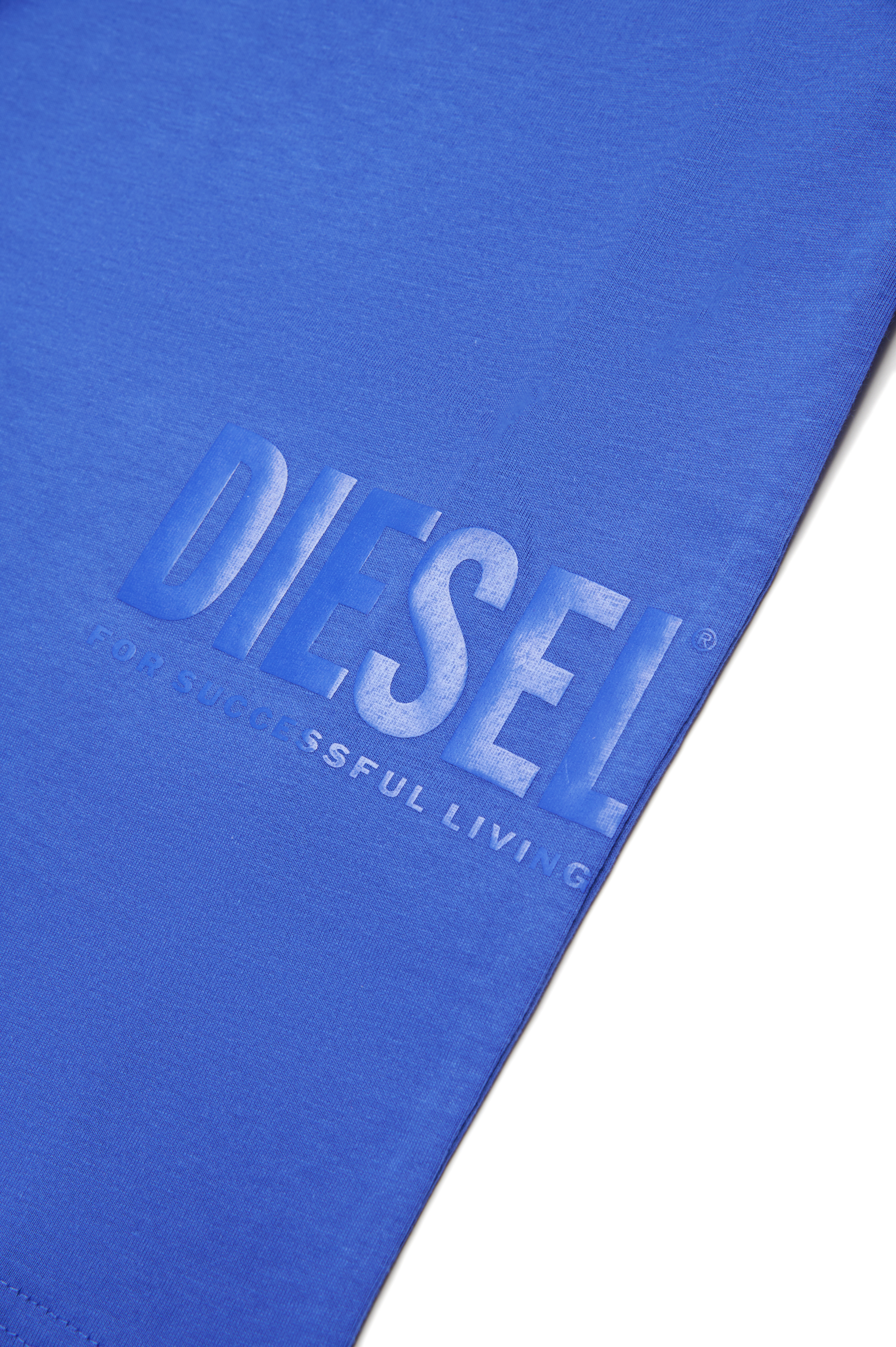 Diesel - MTFIND OVER, T-shirt con logo Biscotto Uomo in Blu - 4