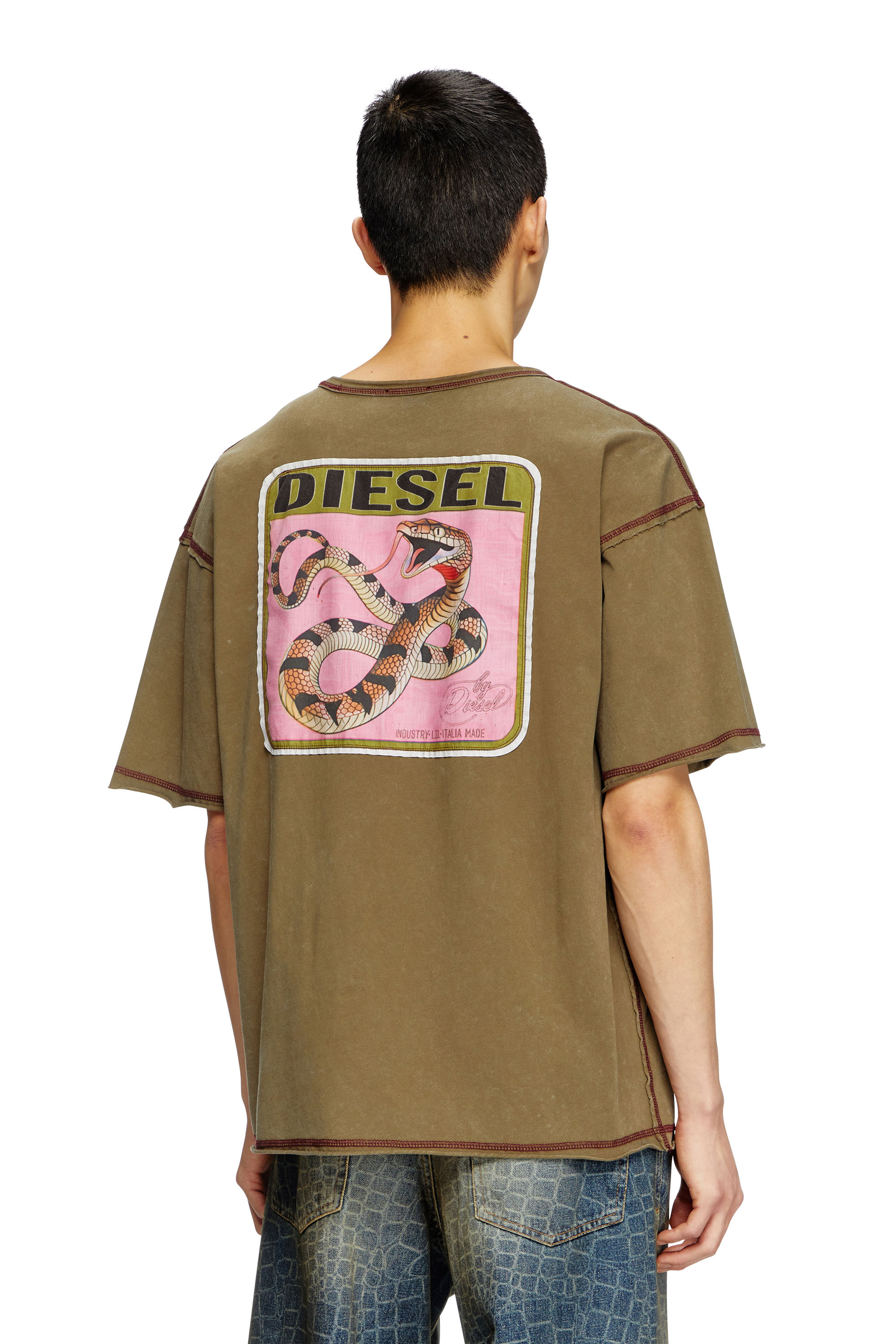 Diesel - CL-T-BOXT-SNAKE, T-shirt trattata con patch snake Unisex in Verde - 4