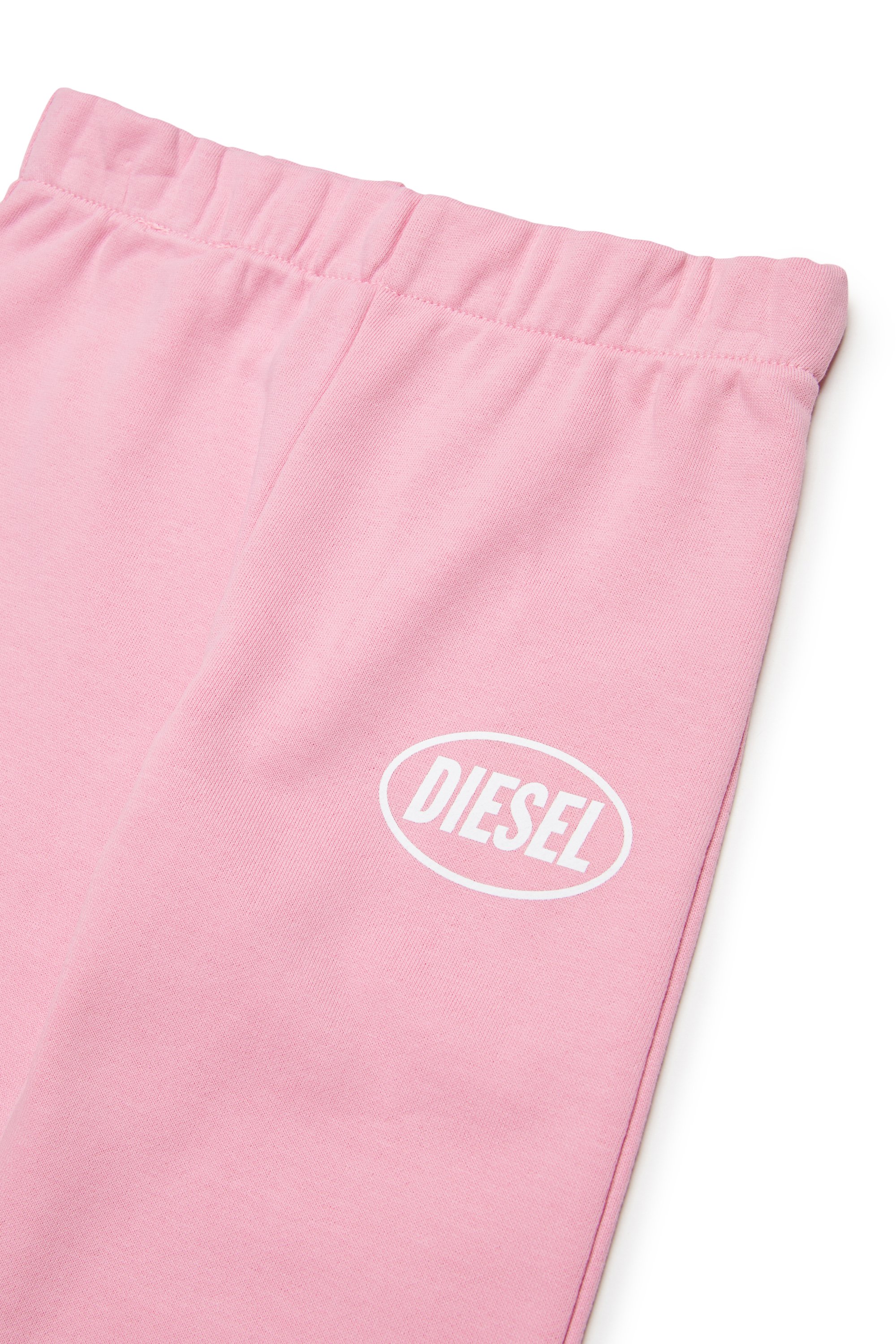 POLPYB, Rosa