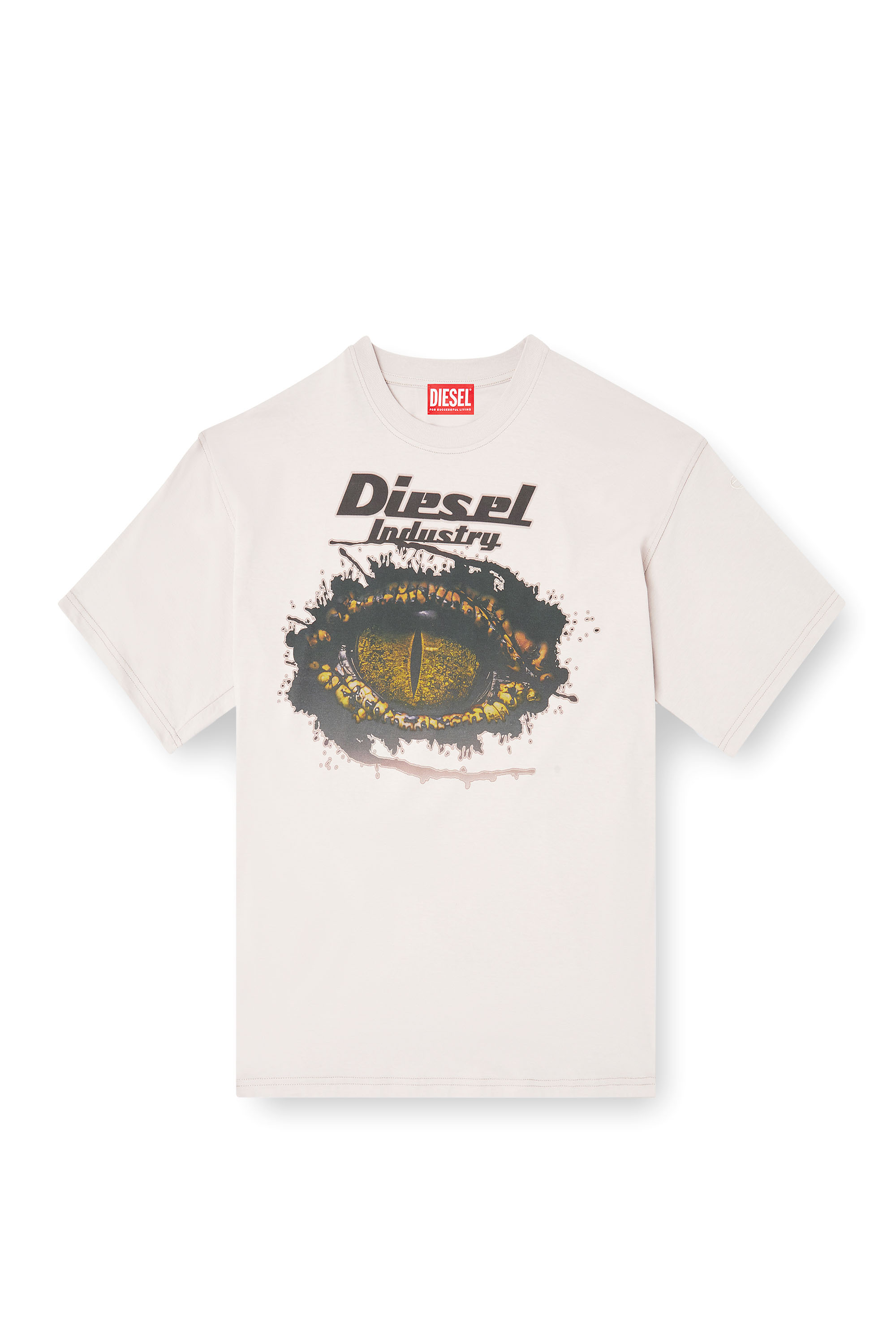 Diesel - T-BOXT-T25, T-shirt in cotone con stampa digitale Uomo in Grigio - 3