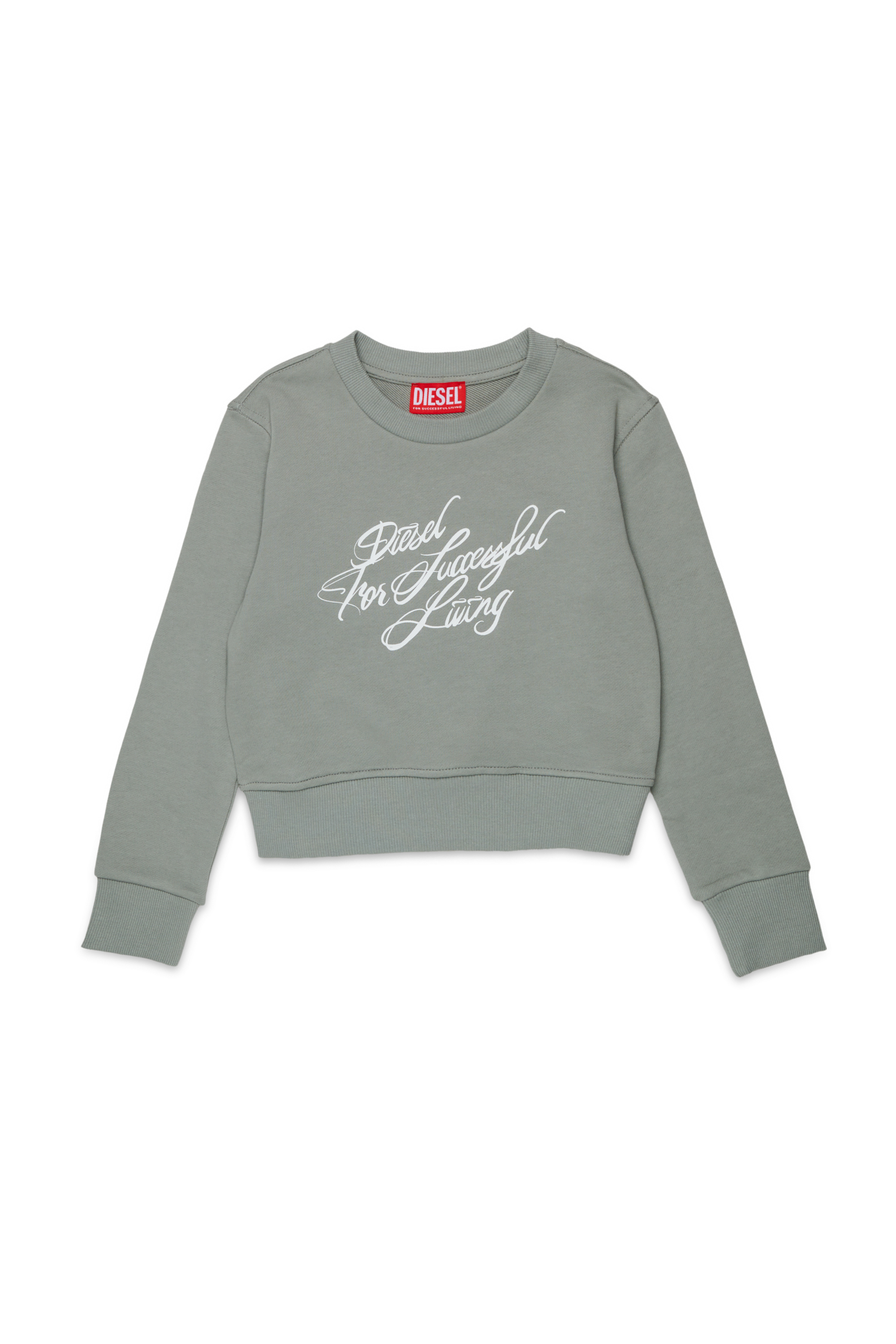 Diesel - SCRIPT, Felpa corta con stampa a scritta Donna in Grigio - 1