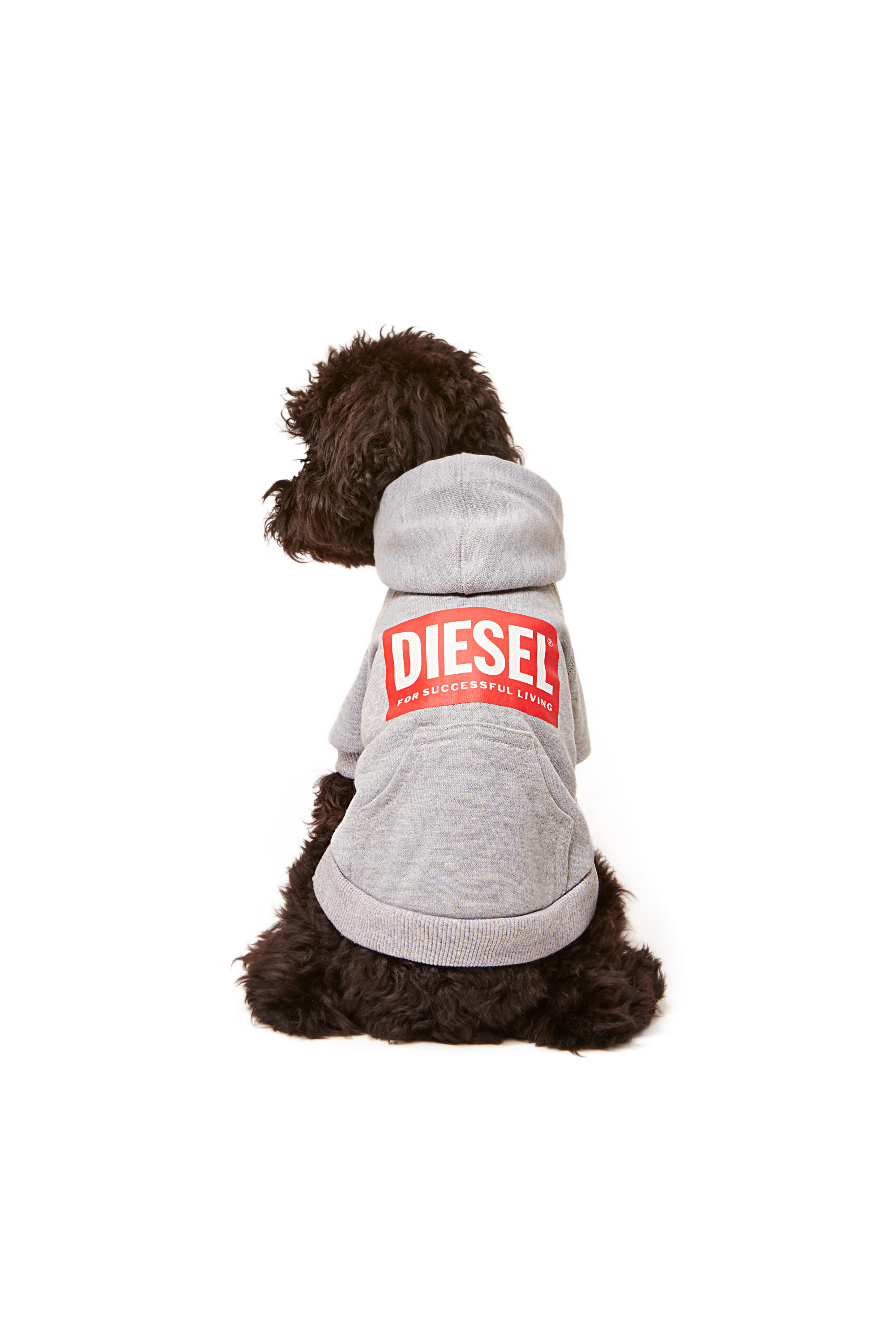 Diesel - PET-SCOTTO, Grigio - Image 4