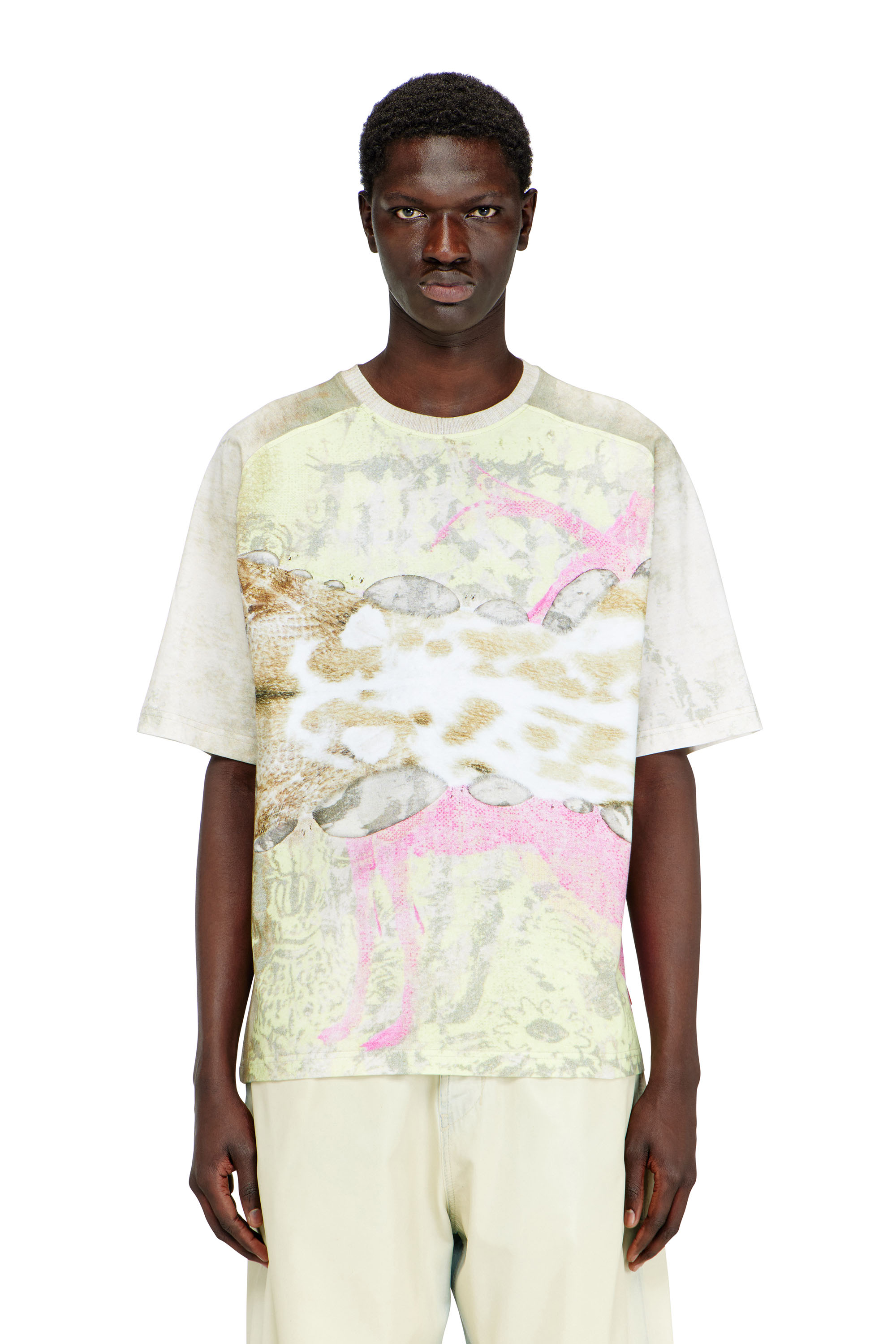 Diesel - T-CLINT, T-shirt con stampa animale Uomo in Grigio - 1