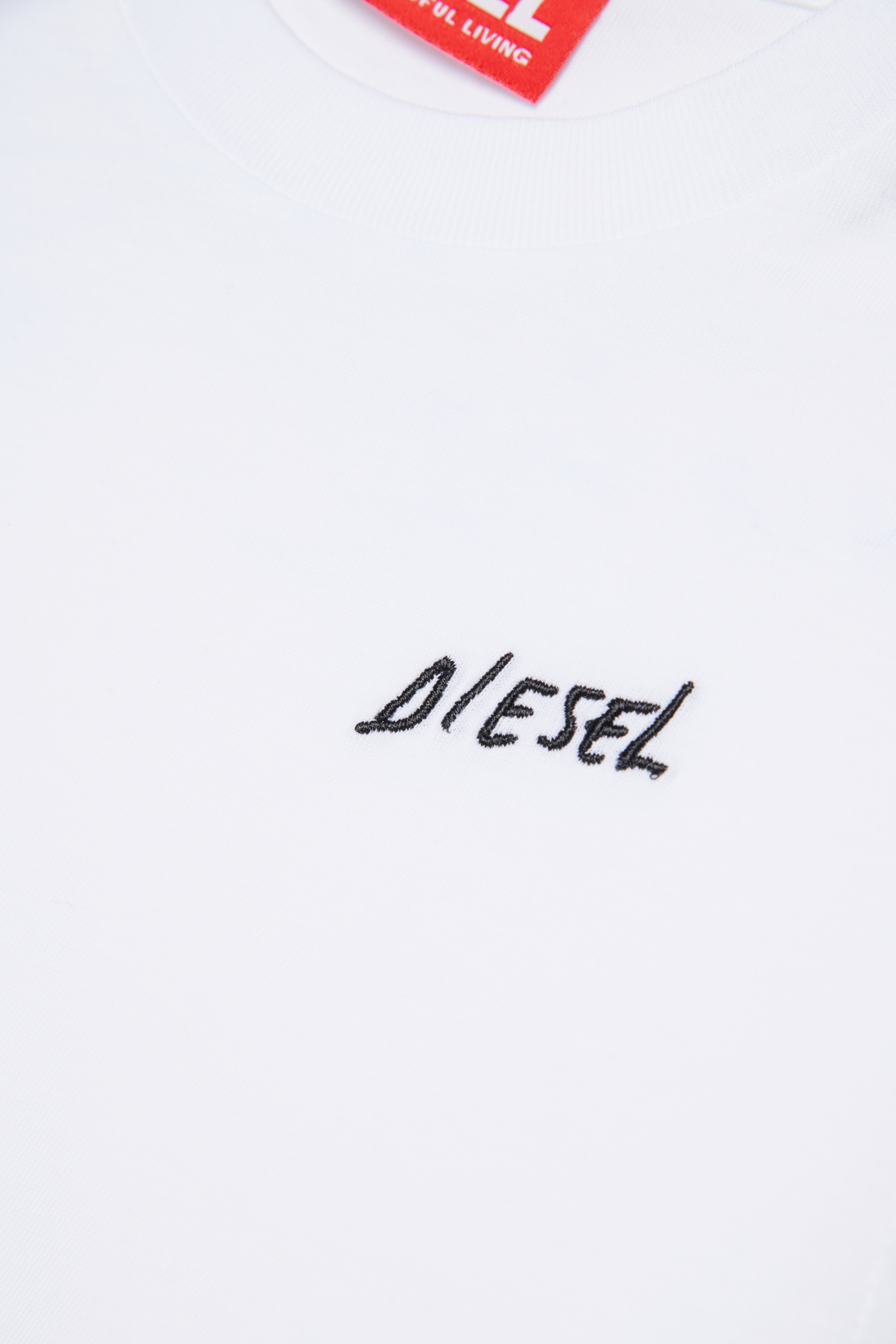 Diesel - TDIEGOSB22LS, T-shirt in cotone con logo ricamato Uomo in Bianco - 4