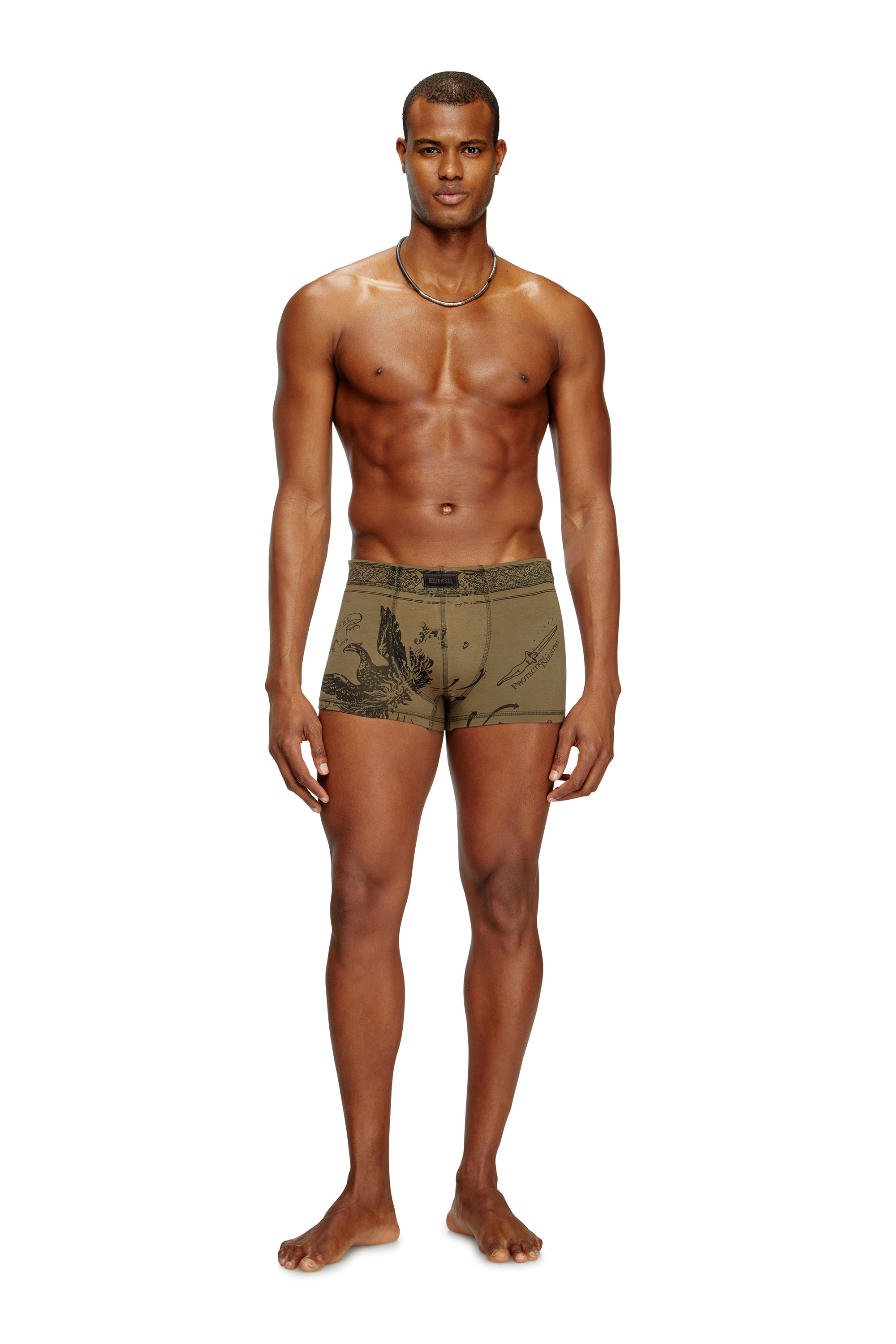 Diesel - DAMIEN-UTLT, Boxer con stampa Phoenix Uomo in Verde - 2