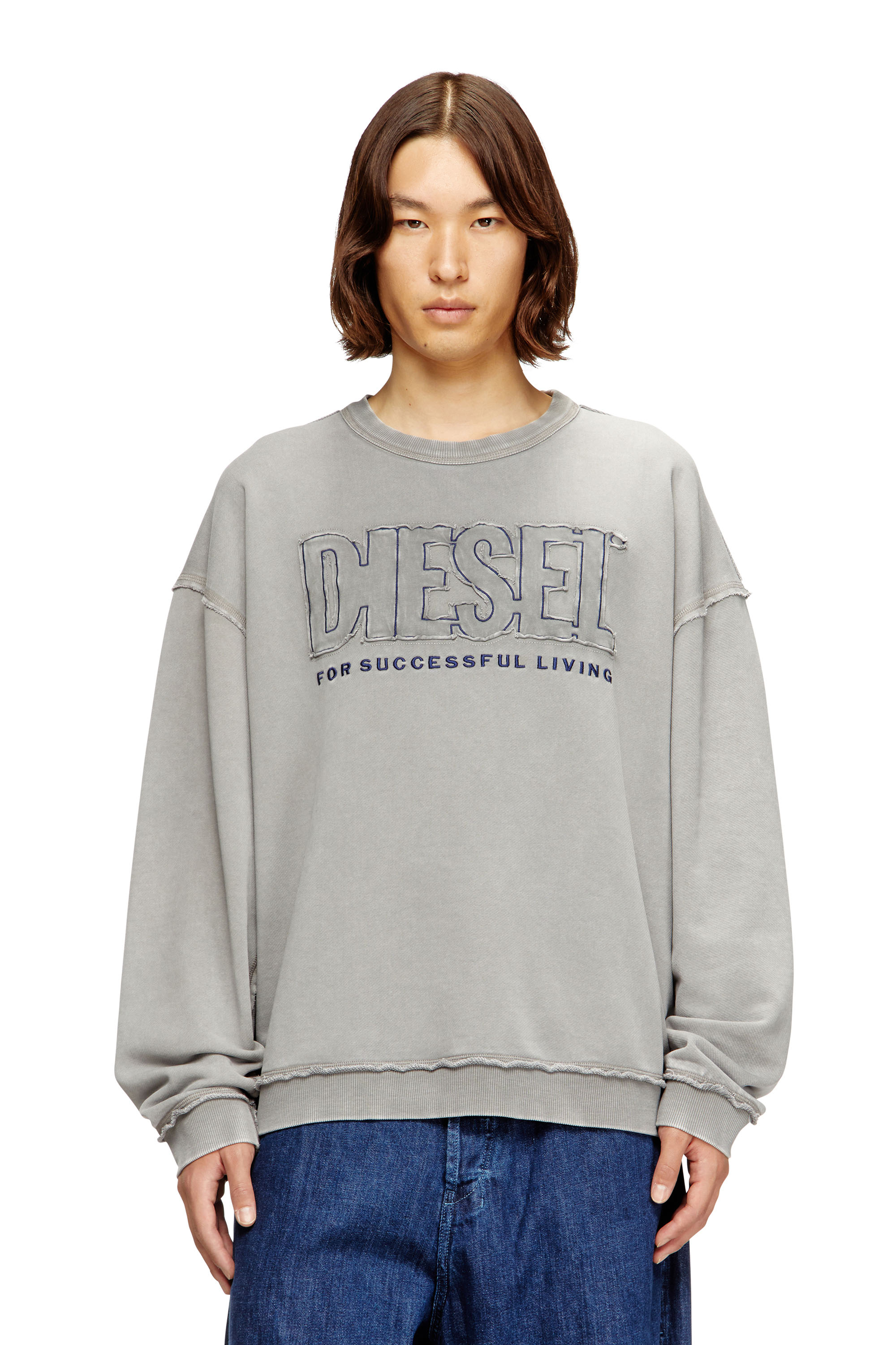 Diesel - S-BOXT-RAW-V1, Felpa in cotone con logo applicato Uomo in Grigio - 1