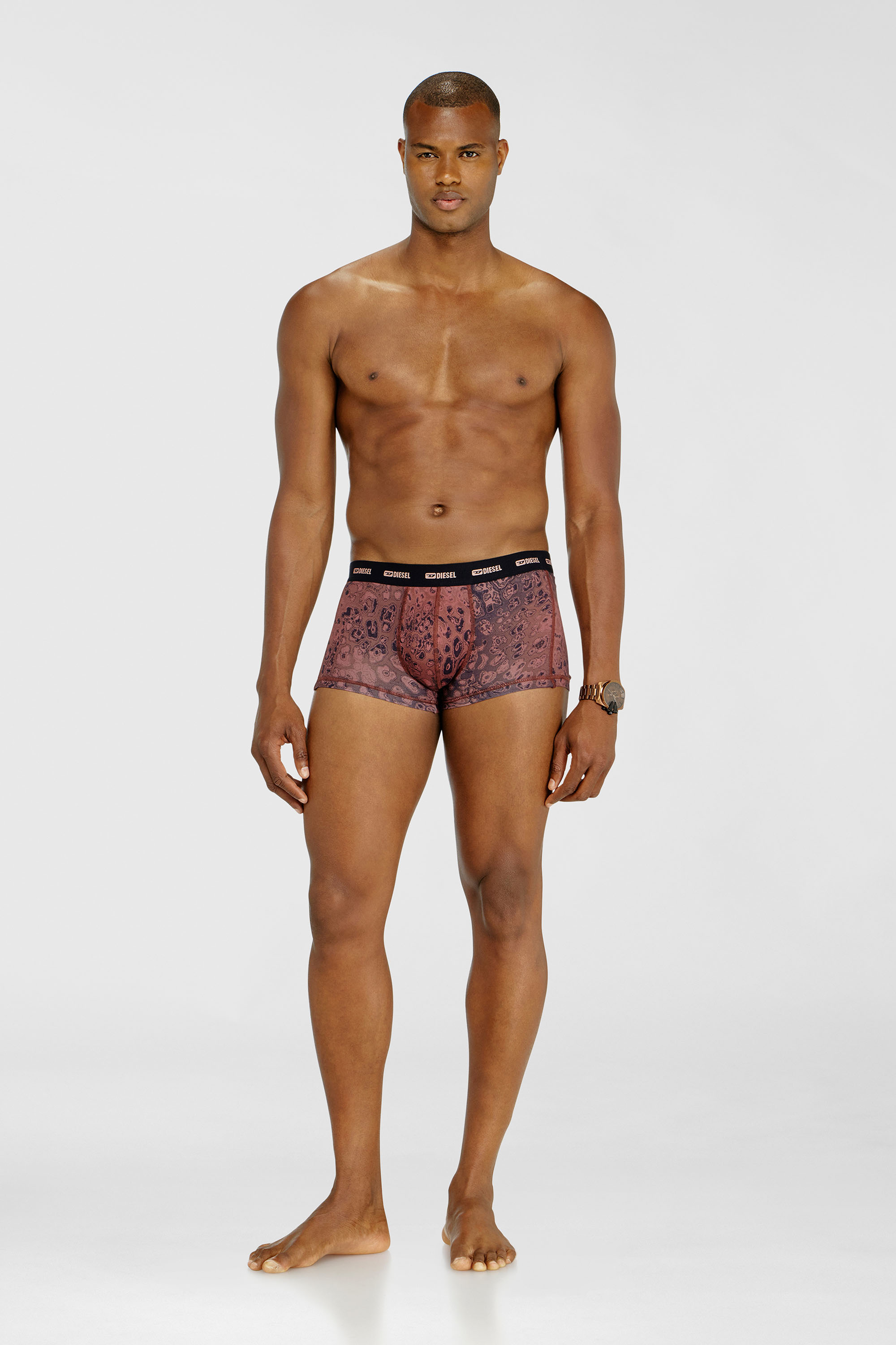 DAMIEN-UTLT-3PACK