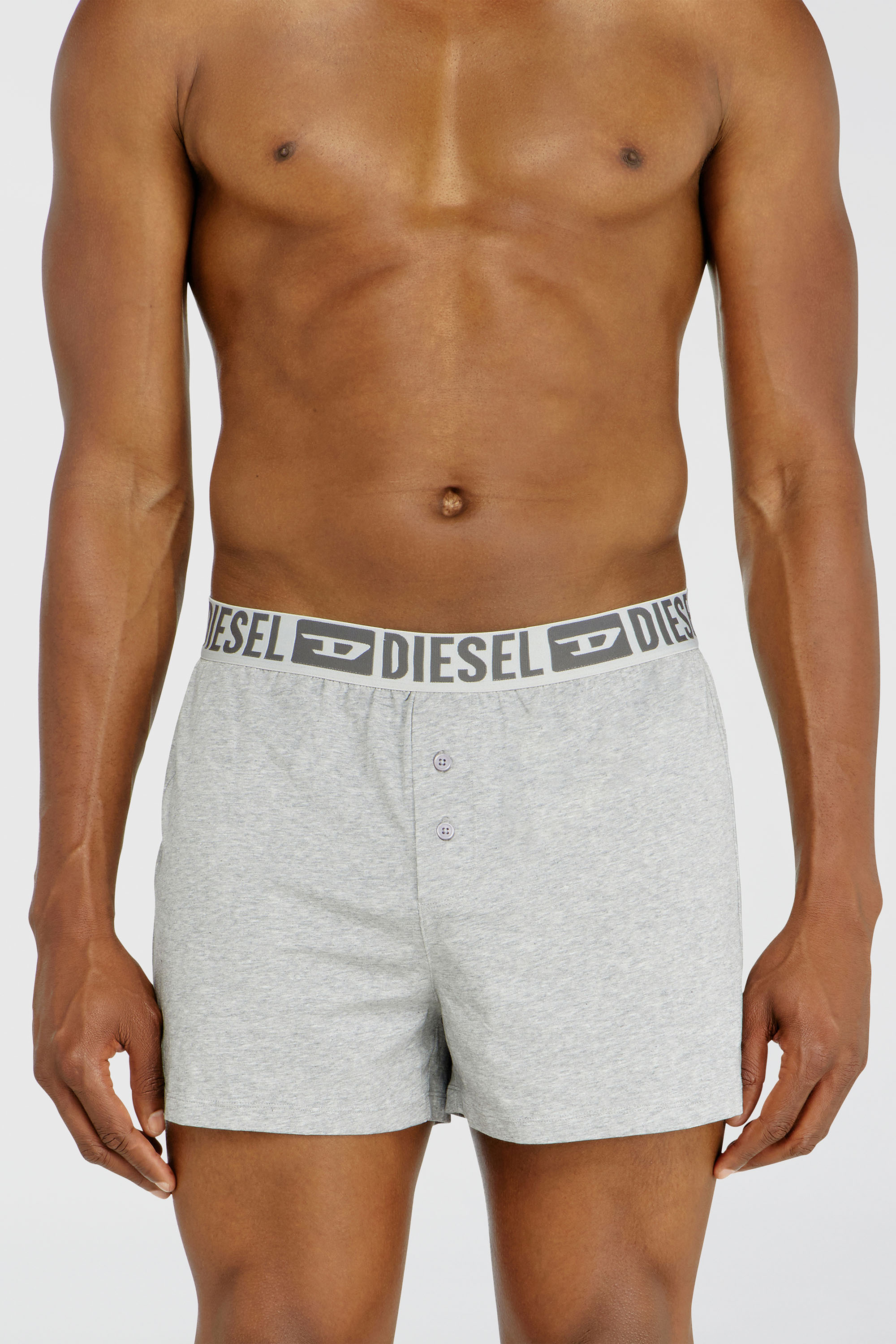 Diesel - STARKIE-D-CORE-2PACK, Set da due boxer lunghi in cotone stretch Uomo in Grigio - 2