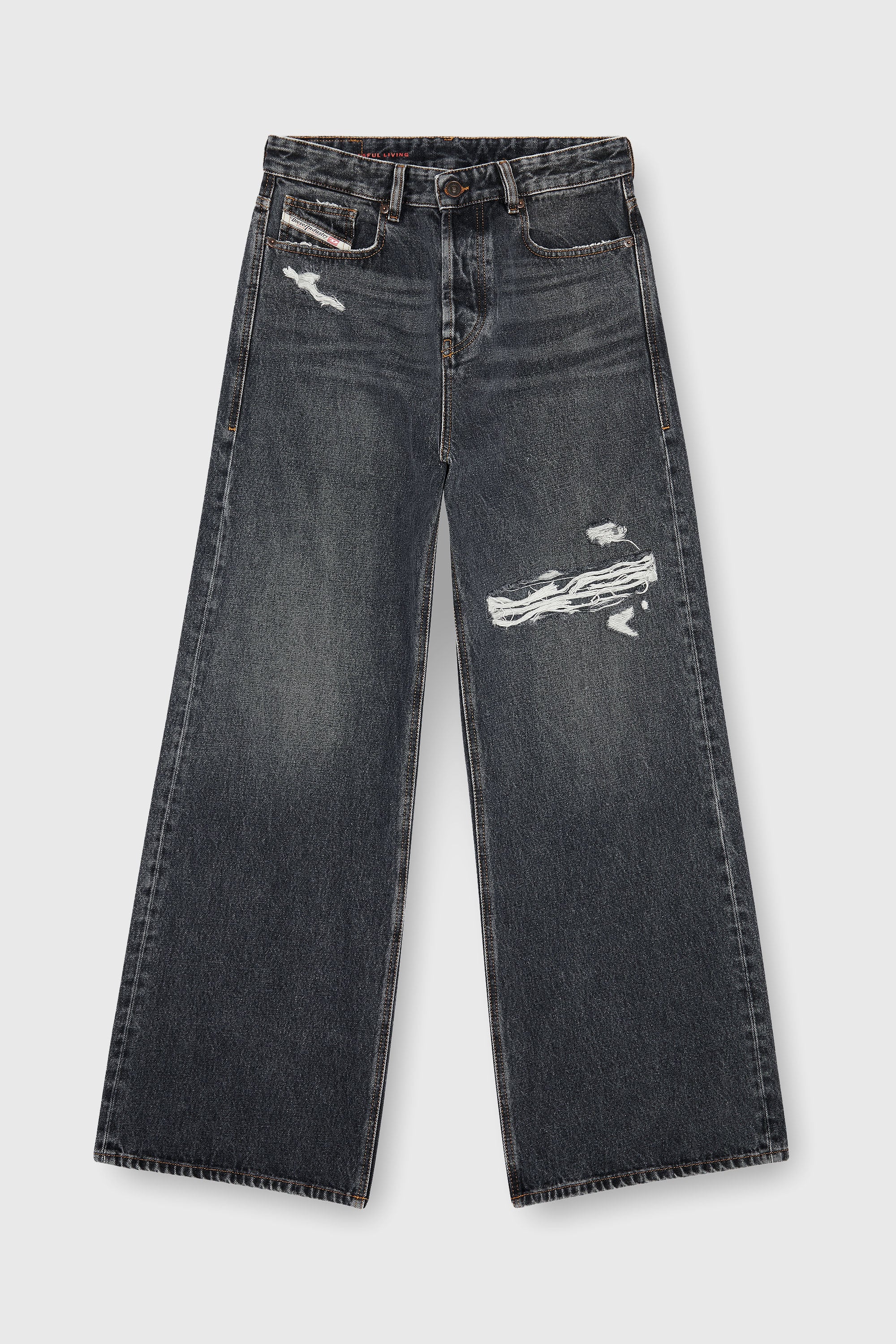 Diesel - Relaxed Jeans 1996 D-Sire 007F6 Unisex, Nero/Grigio scuro - Image 2