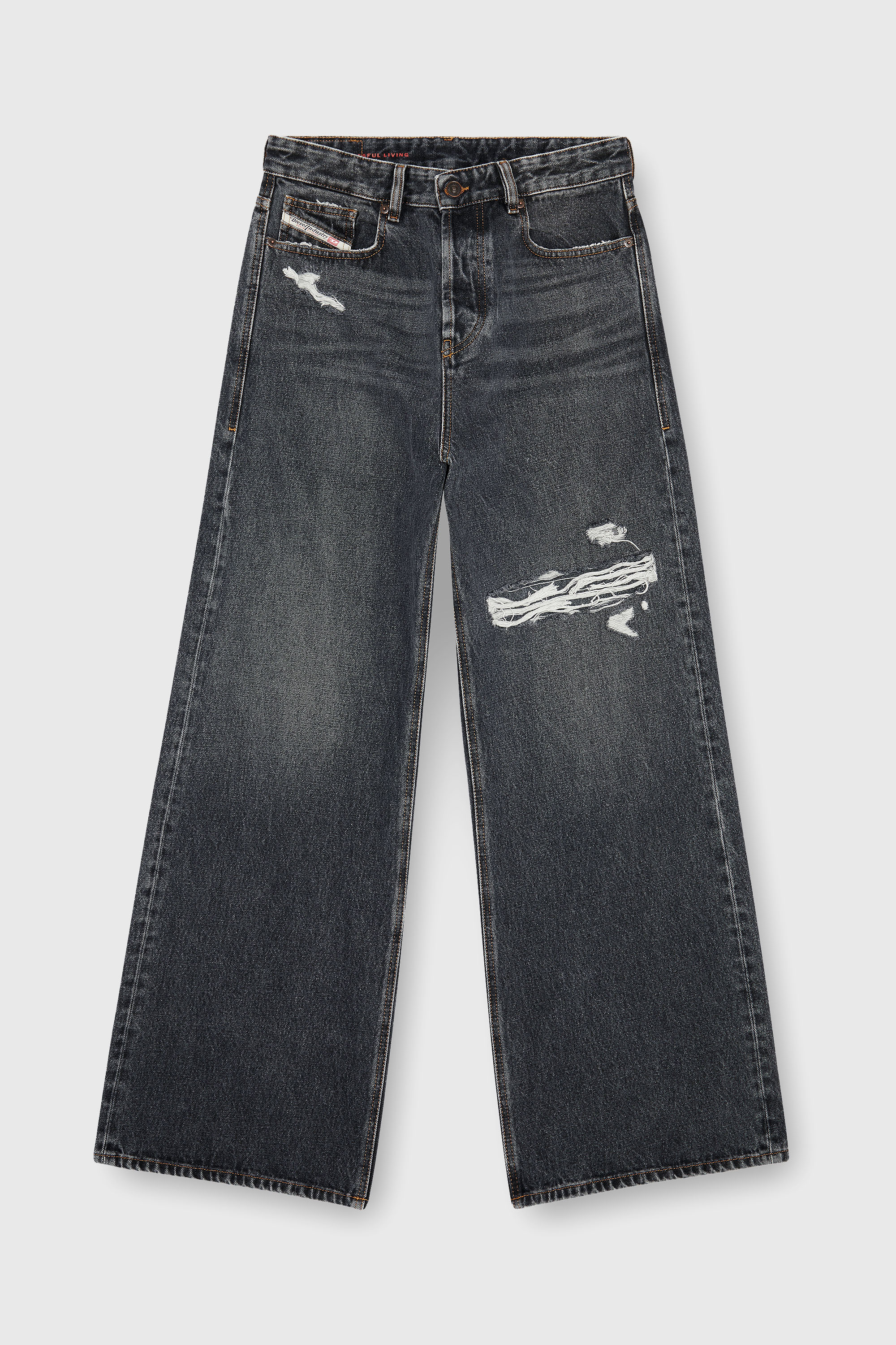 Diesel - Relaxed Jeans 1996 D-Sire 007F6 Unisex, Nero/Grigio scuro - Image 6