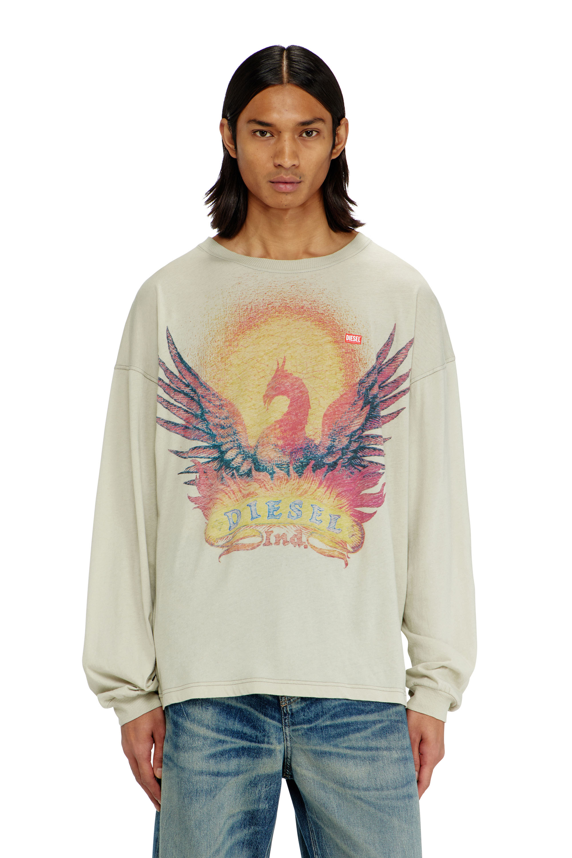 Diesel - T-BOXT-LS-AA1, T-shirt a manica lunga con grafica Phoenix Uomo in Beige - 1
