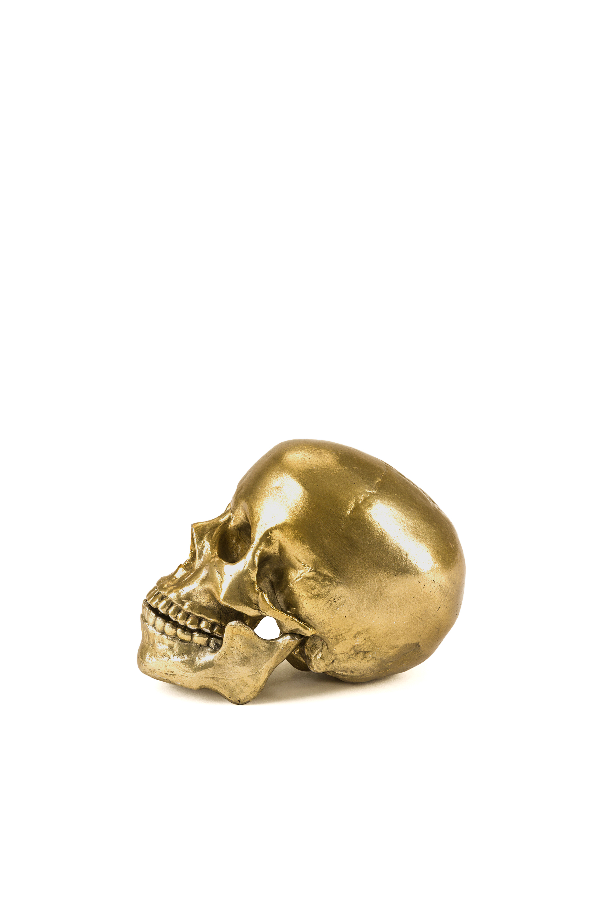 Diesel - 10891 Wunderkammer, "Culture Skullture" Wunderkammer Human Skull Unisex in Oro - 2