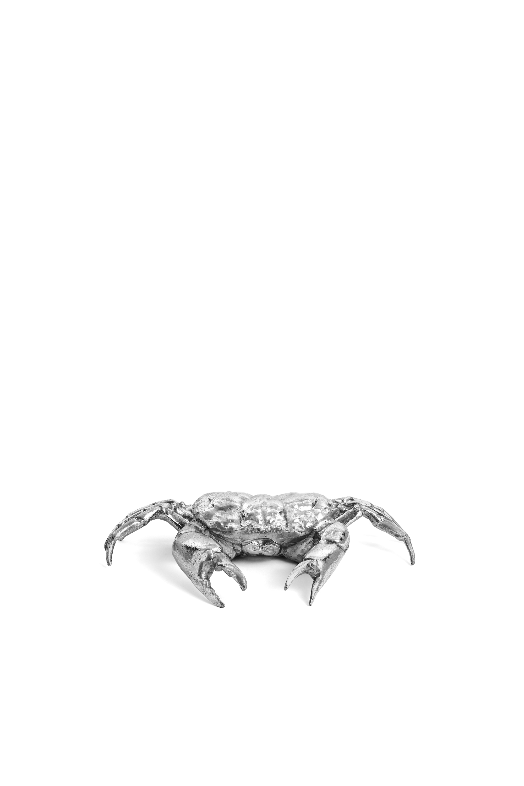 Diesel - 10897 WUNDERKAMMER, Wunderkammer "Holy crab home" Unisex in Argento - 1