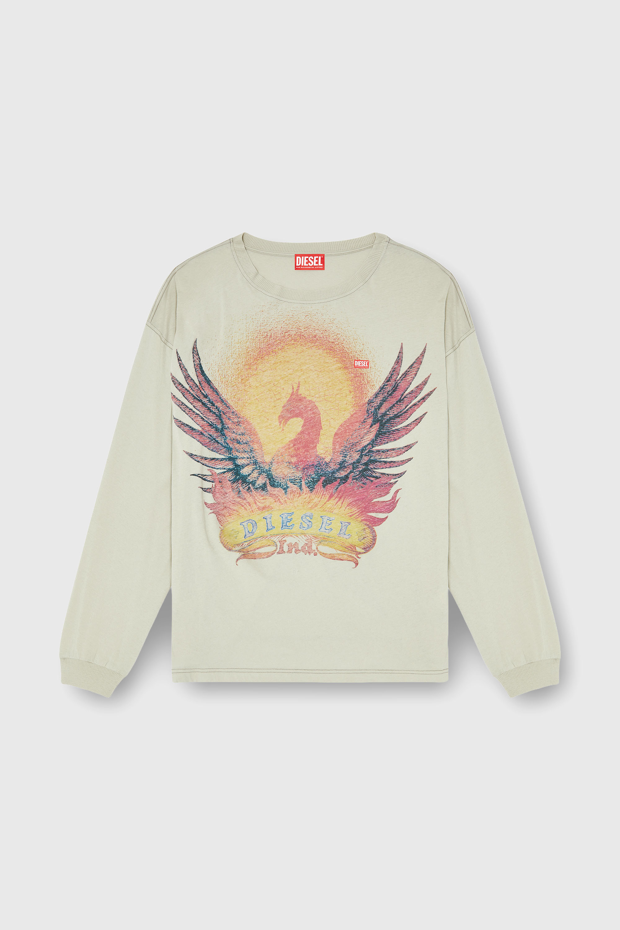 Diesel - T-BOXT-LS-AA1, T-shirt a manica lunga con grafica Phoenix Uomo in Beige - 2