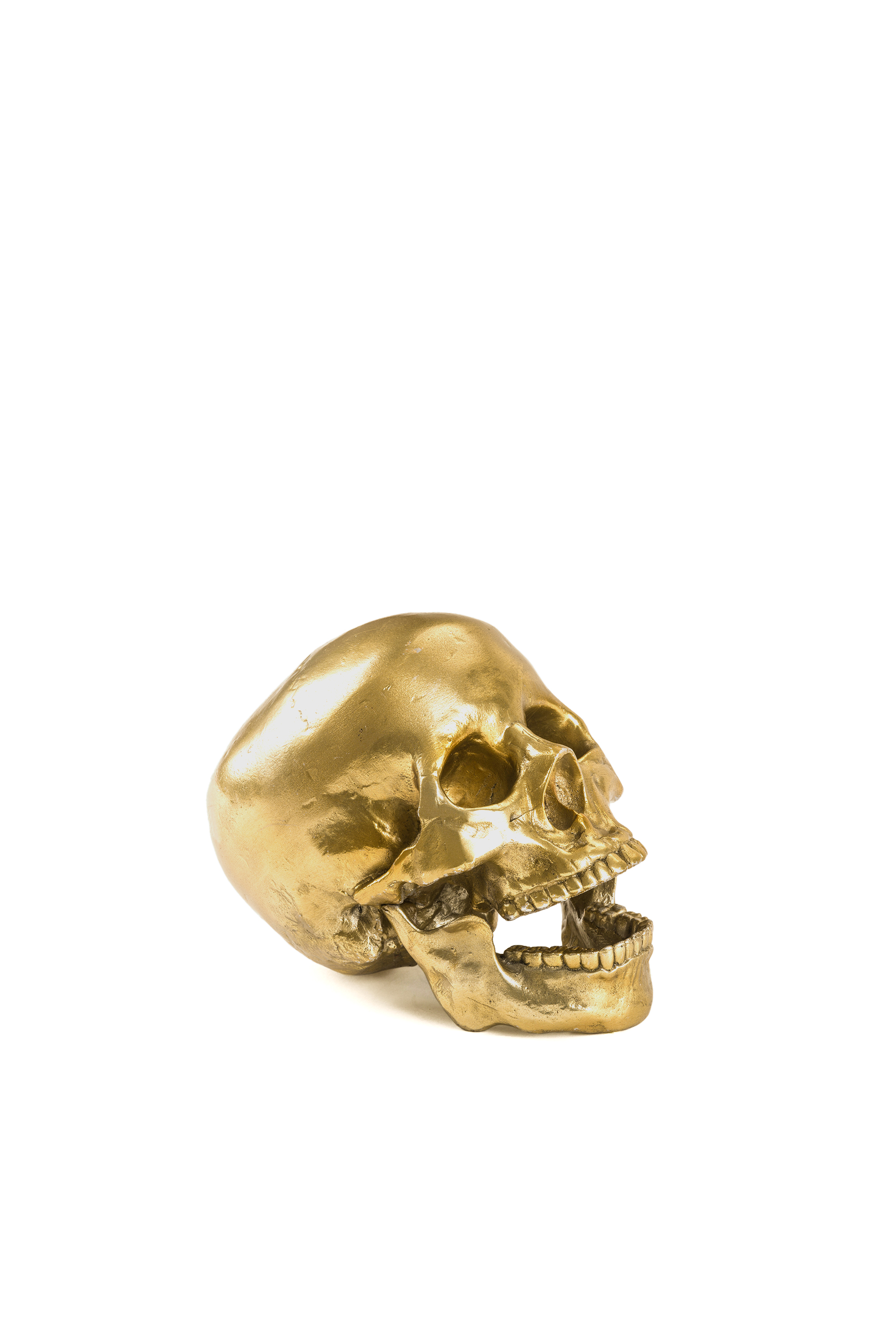 Diesel - 10891 Wunderkammer, "Culture Skullture" Wunderkammer Human Skull Unisex in Oro - 3