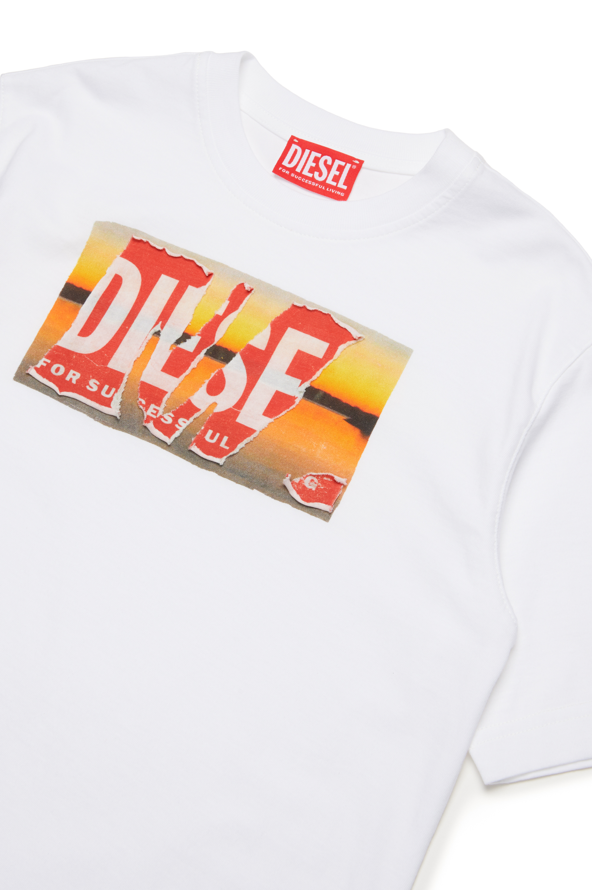 Diesel - TWASHPOFFL1 OVER, Uomo T-shirt con stampa e logo peel-off in Bianco - Image 3