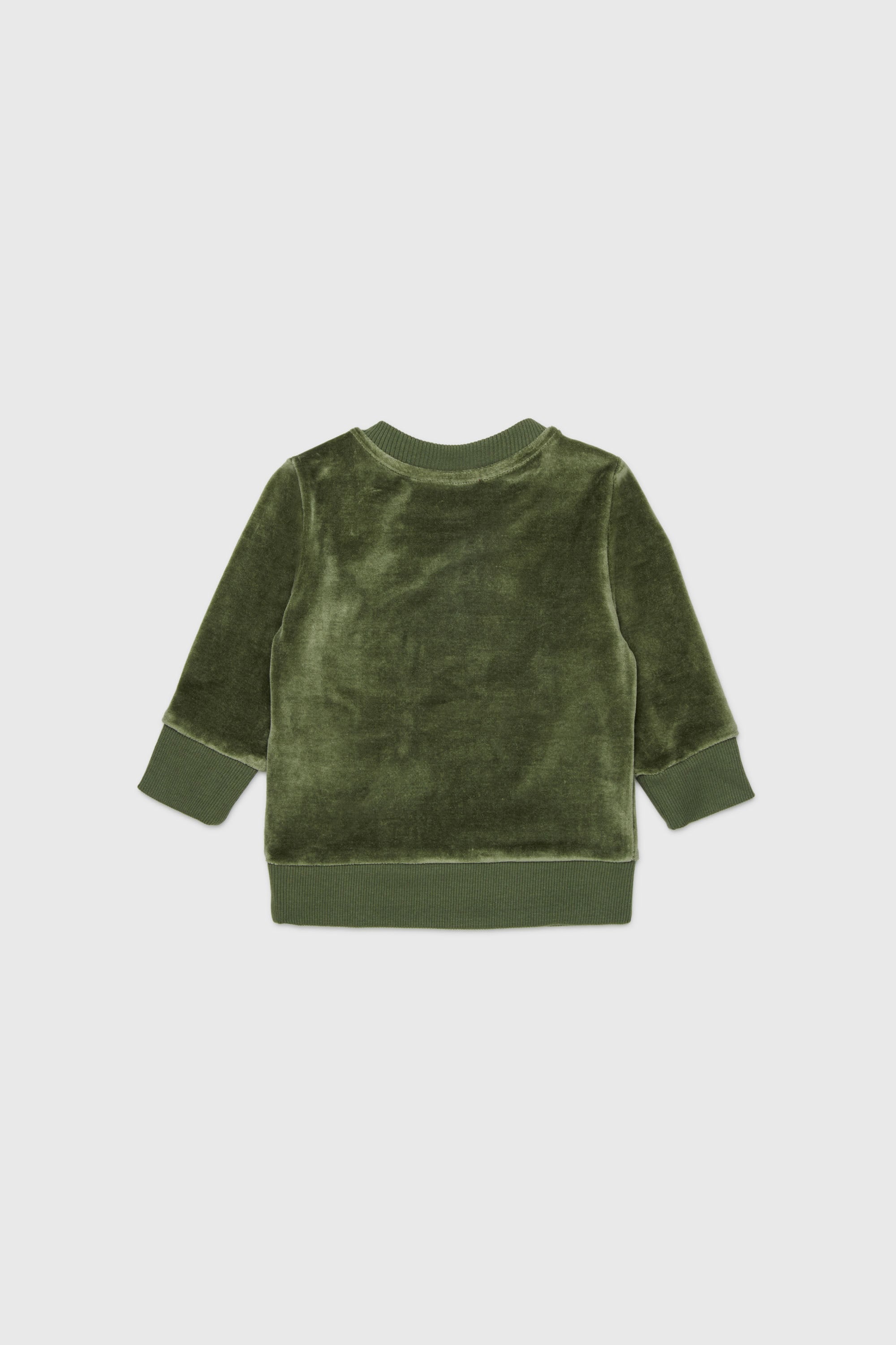 Diesel - SHENIB, Felpa in velluto con ricamo Oval D Uomo in Verde - 2
