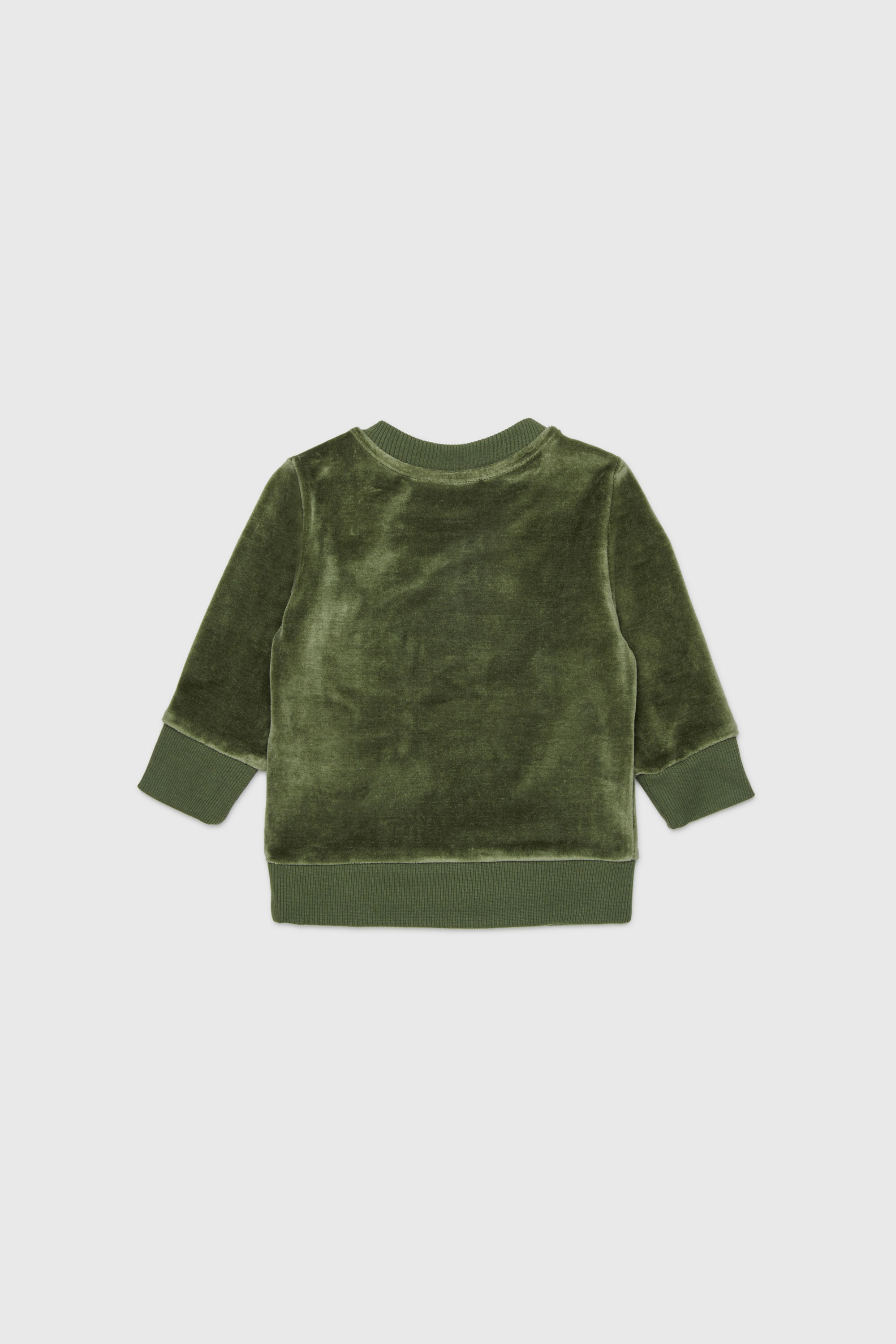 Diesel - SHENIB, Felpa in velluto con ricamo Oval D Uomo in Verde - 2