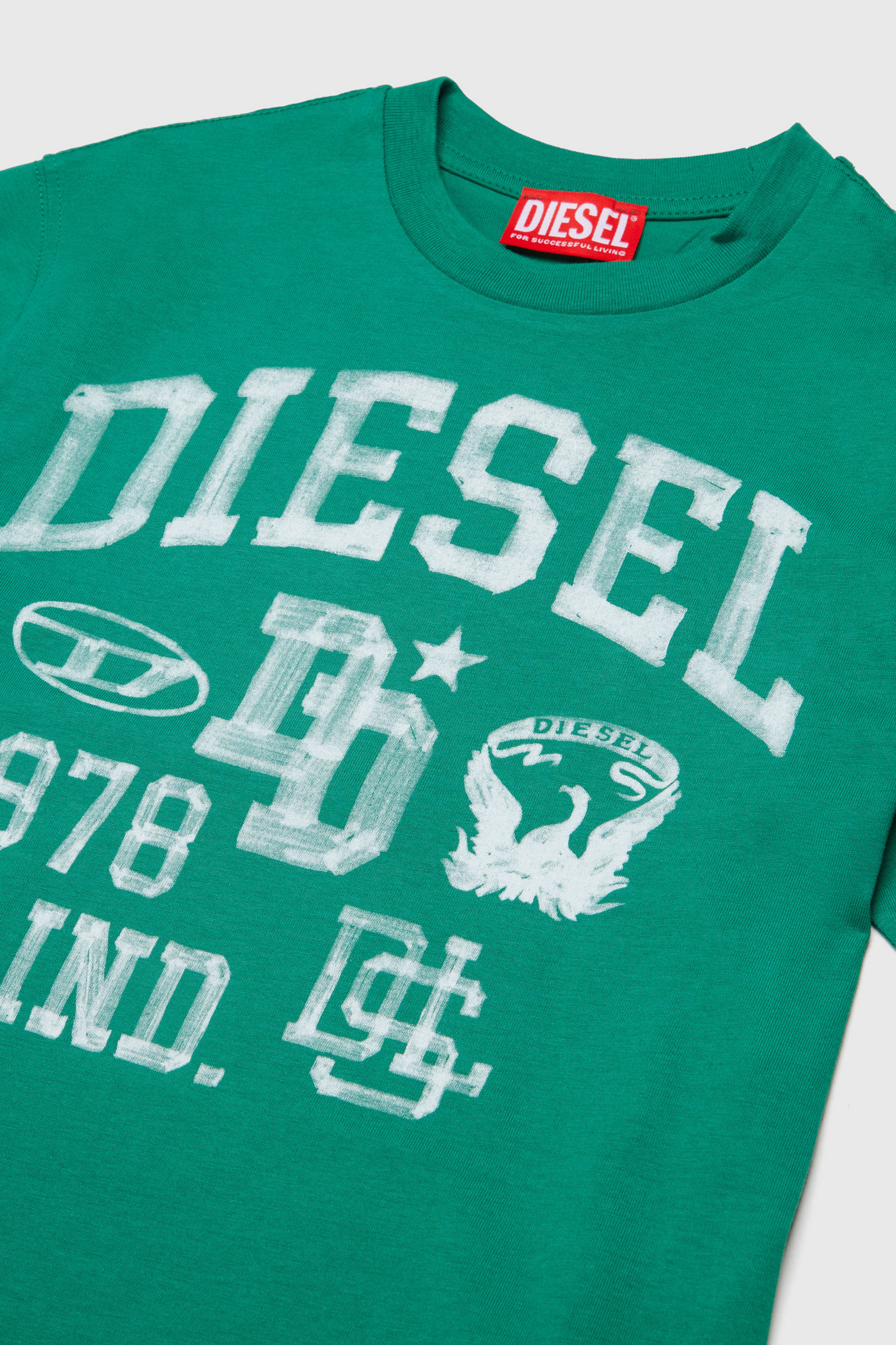 Diesel - TBAND OVER, T-shirt in cotone con grafica stile college Uomo in Verde - 3