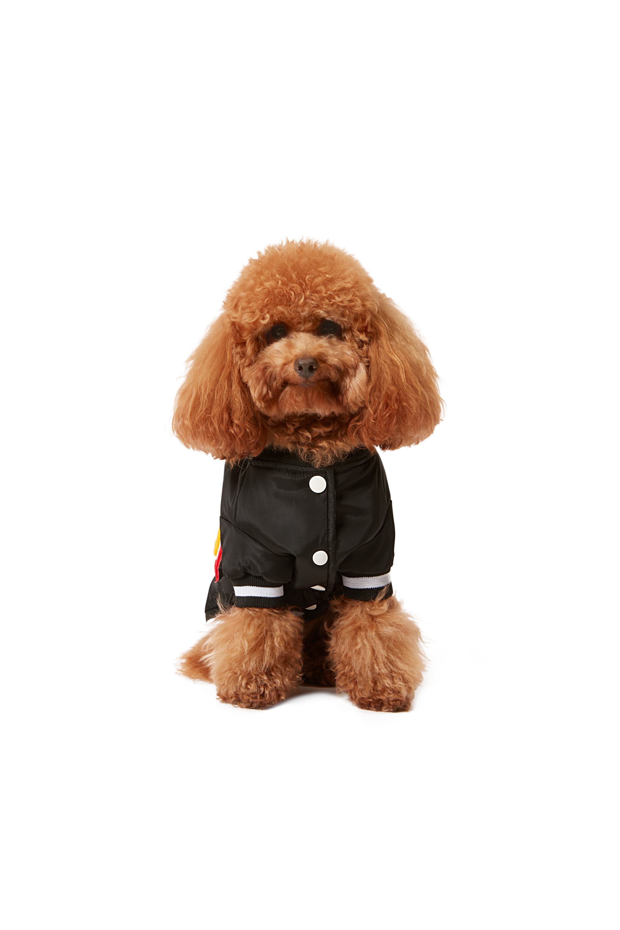 Diesel - PET-CHWORK, Nero - Image 3