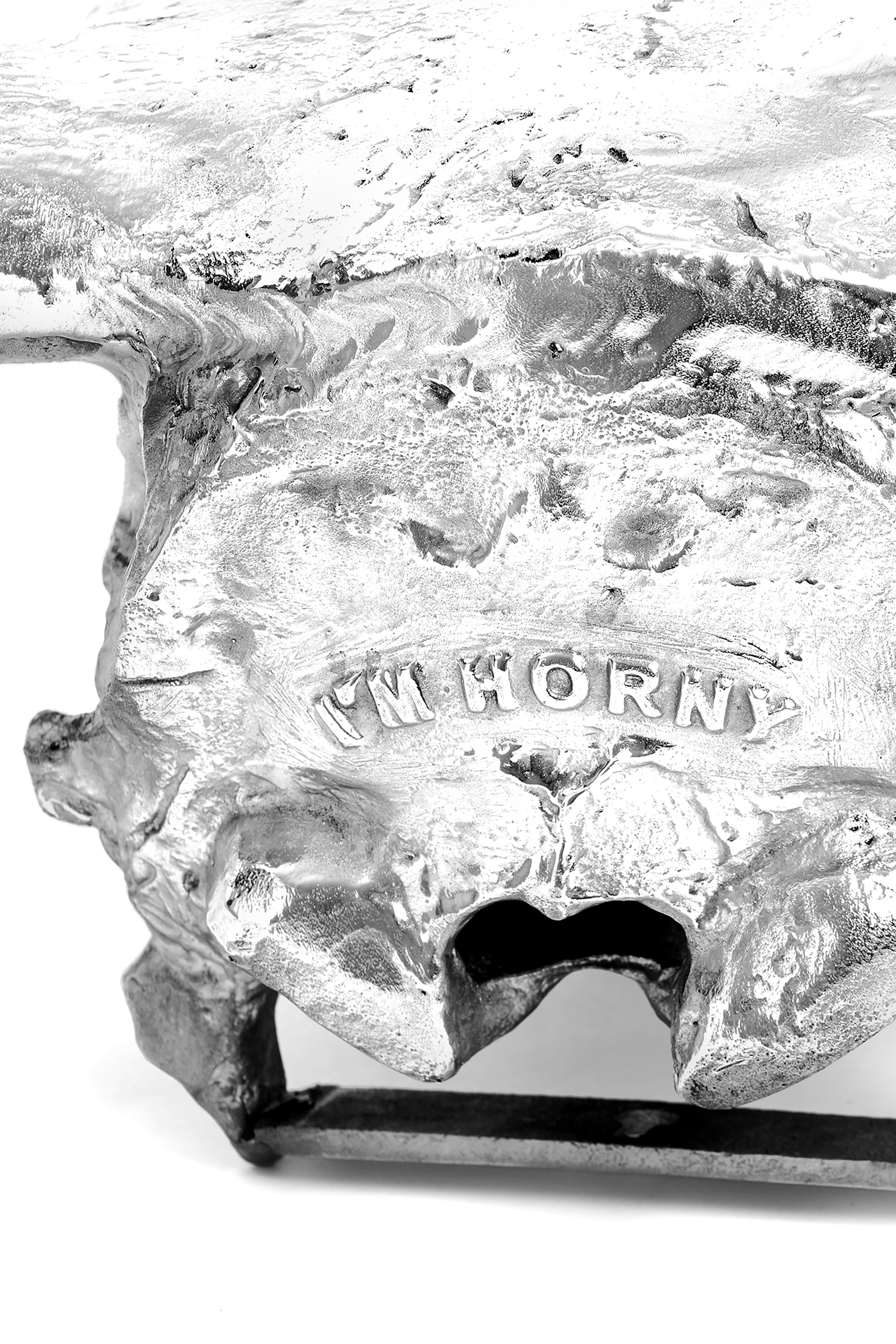 Diesel - 10899 WUNDERKAMMER, Wunderkammer "I'm horny" Unisex in Argento - 4