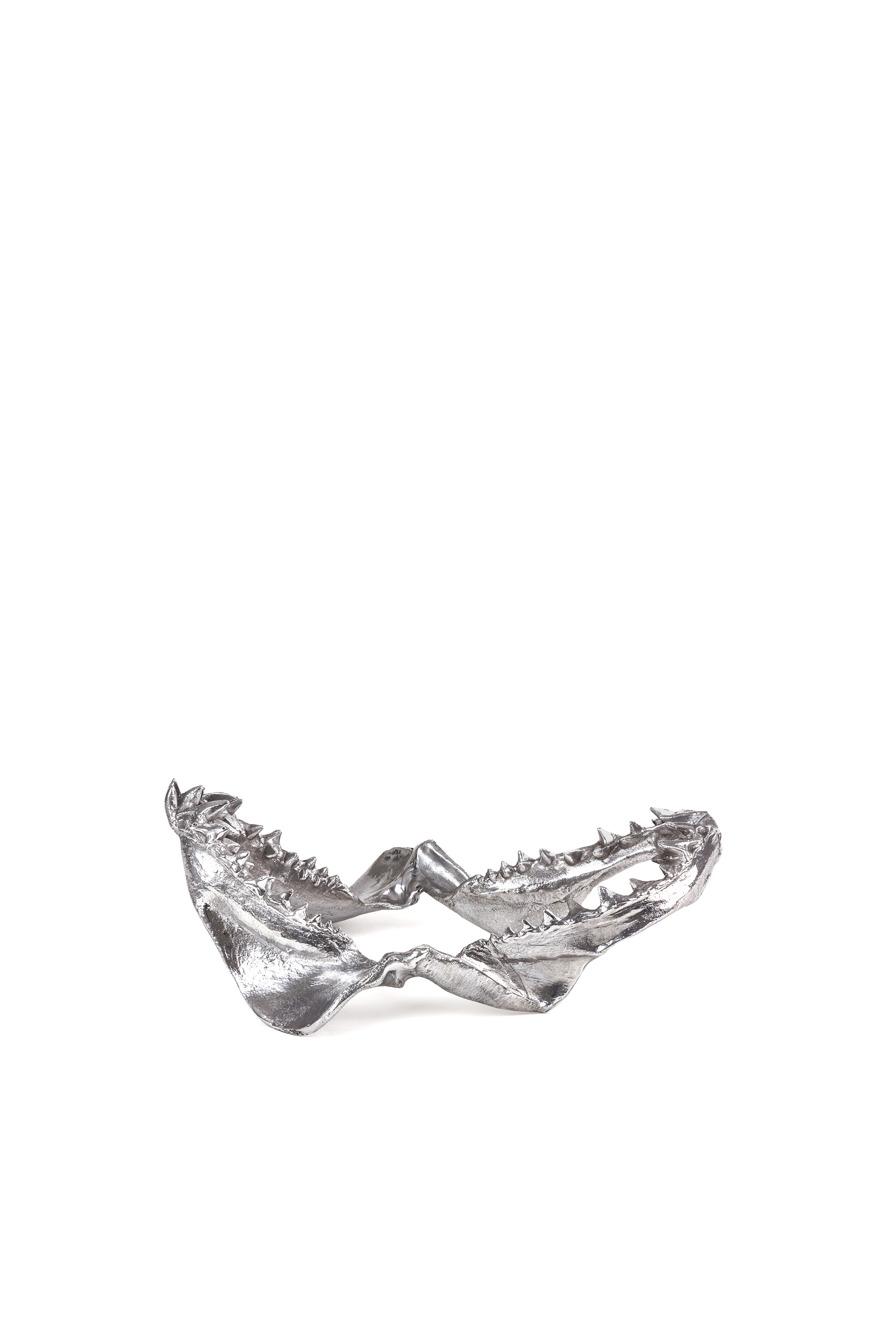 Diesel - 10896 WUNDERKAMMER, "Bite For Your Right" Wunderkammer Shark Jaw Unisex in Argento - 2