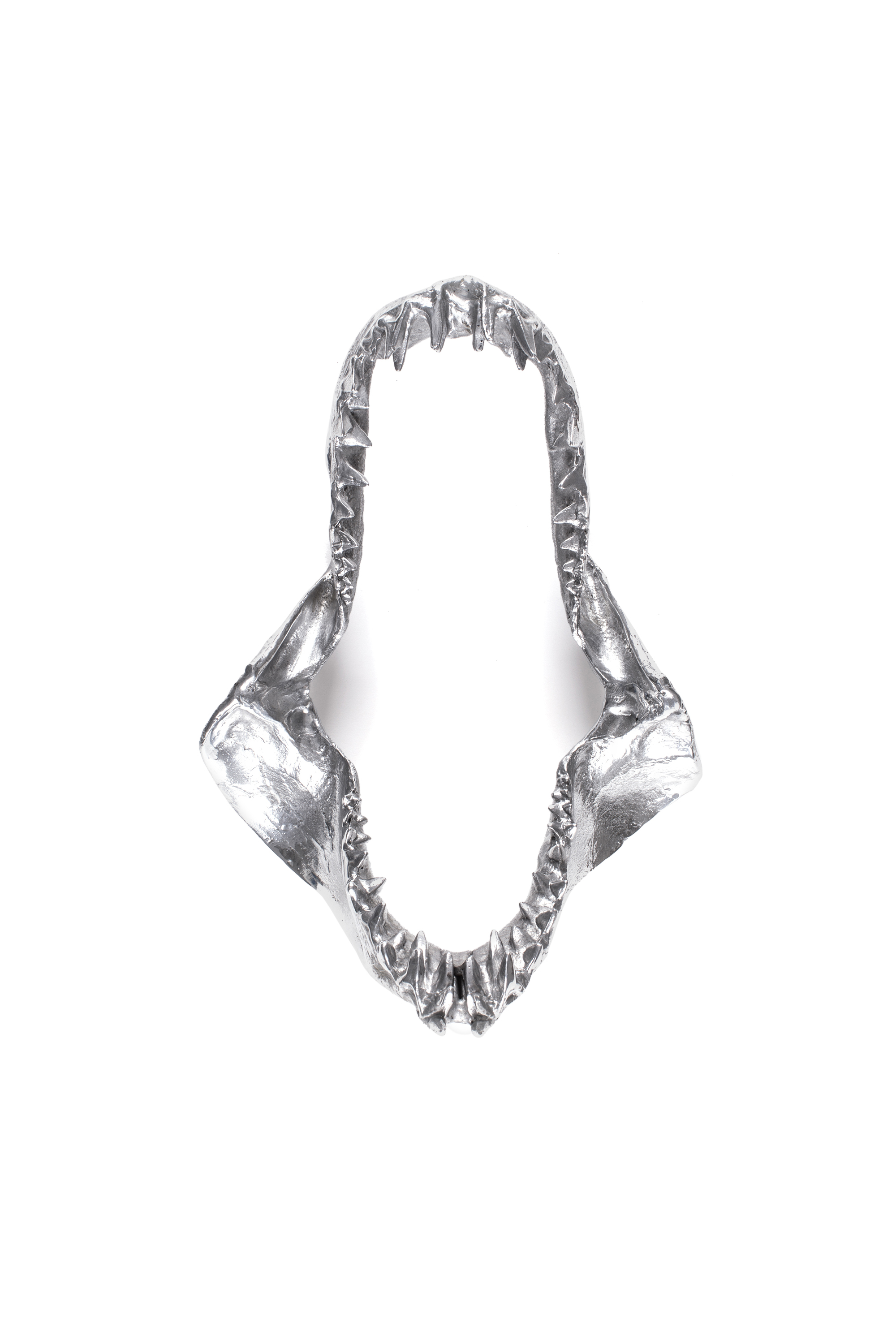 Diesel - 10896 WUNDERKAMMER, "Bite For Your Right" Wunderkammer Shark Jaw Unisex in Argento - 1
