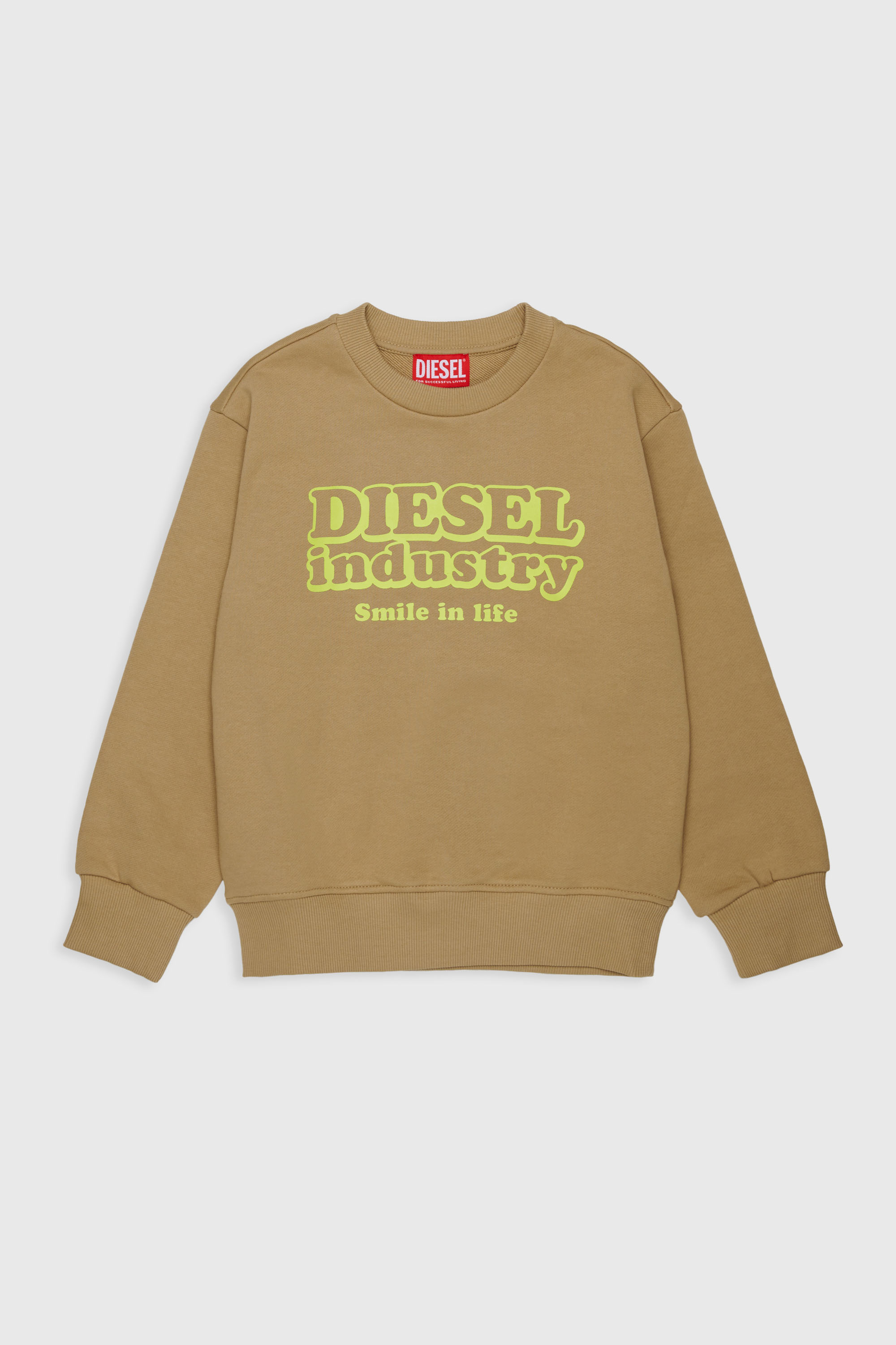 Diesel - SLODIM OVER, Felpa con stampa Diesel Industry Uomo in Marrone - 1