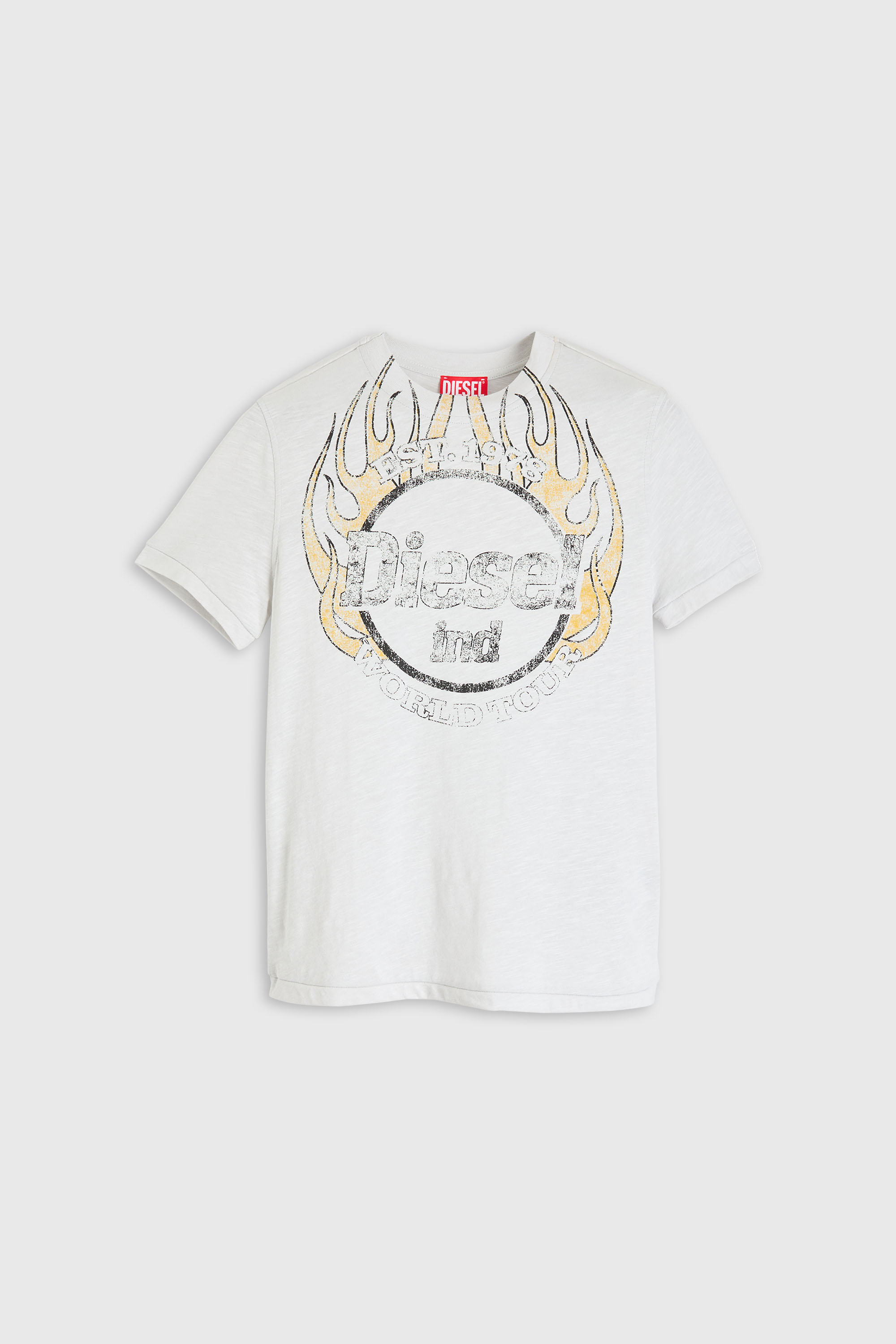 Diesel - T-REG-B1, T-shirt in jersey fiammata con stampa craquel&eacute; Donna in Bianco - 1