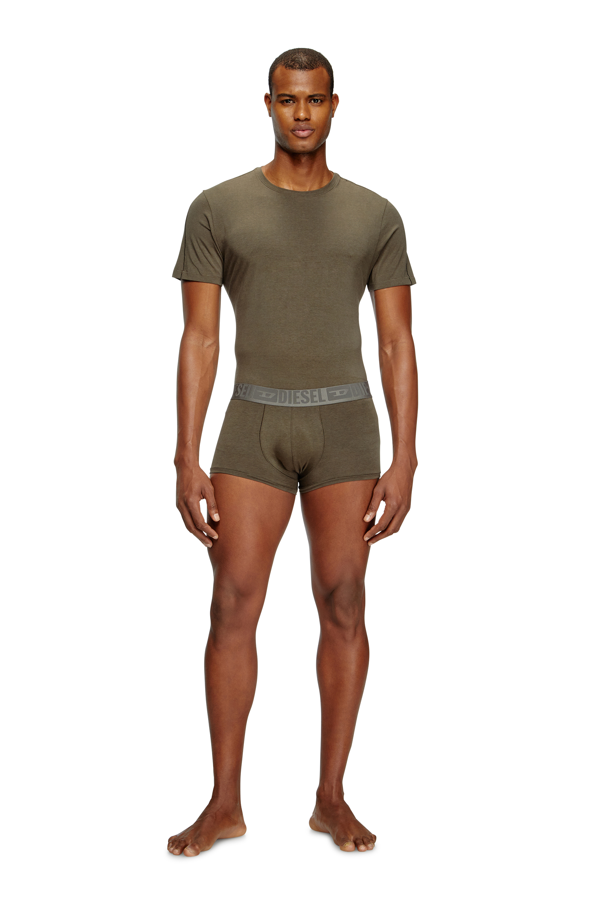 Diesel - RANDAL-D-MONO-2PACK, Set da due T-shirt in jersey fluido Uomo in Multicolor - 2