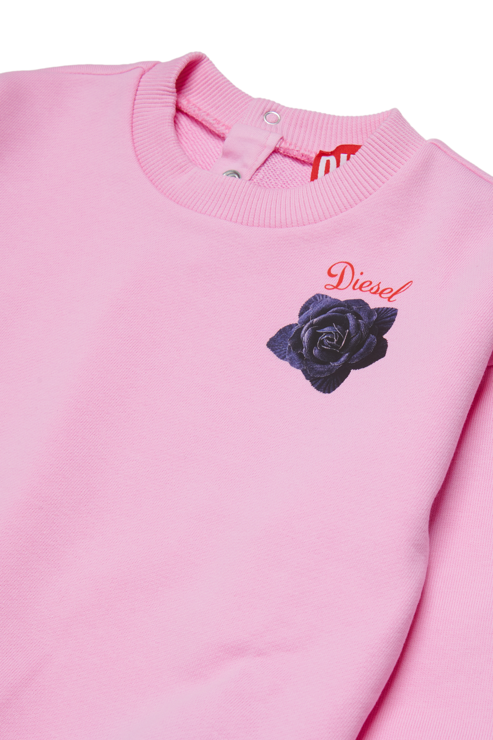 Diesel - SROSEB, Felpa in cotone con stampa rose Donna in Rosa - 3