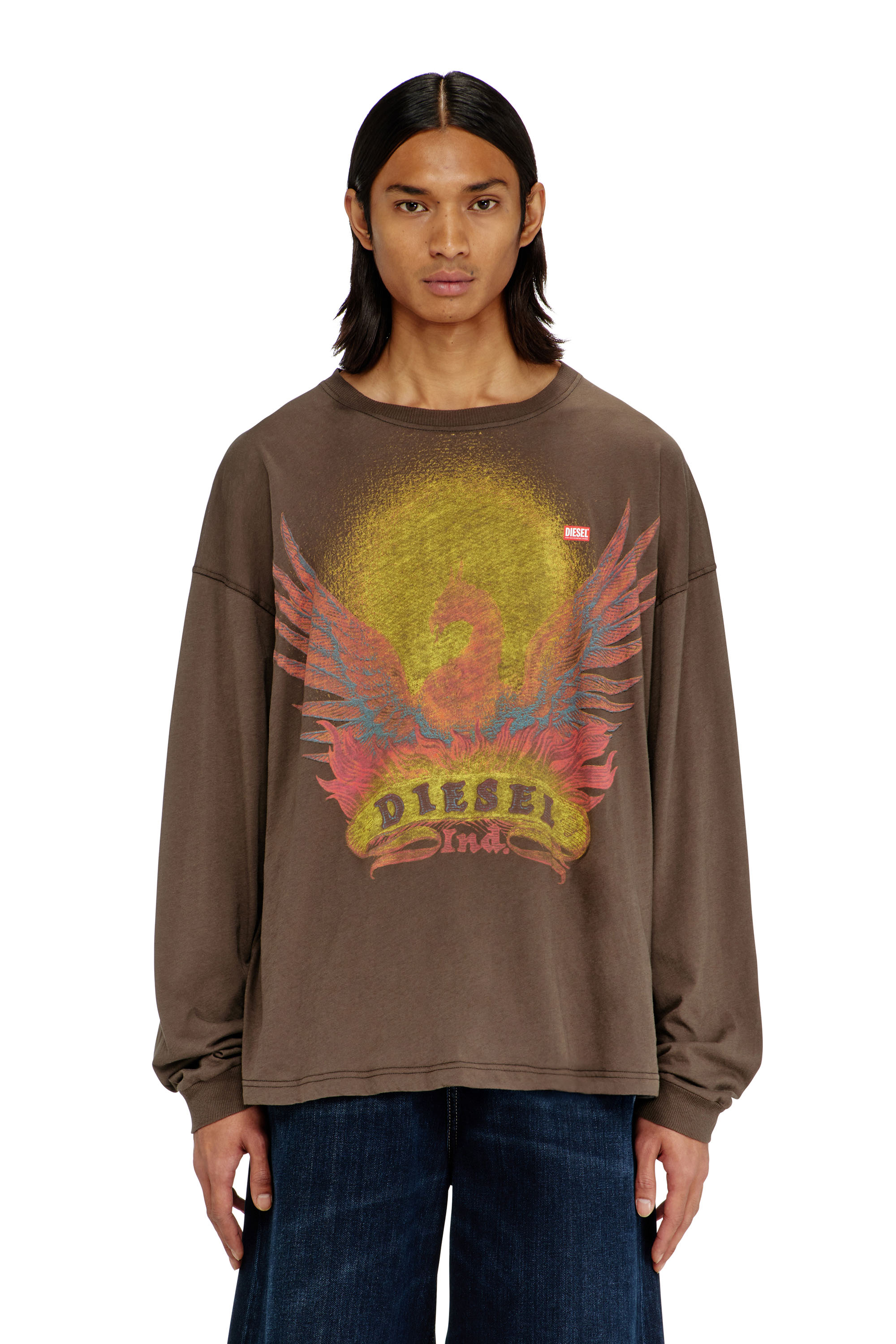 Diesel - T-BOXT-LS-AA1, T-shirt a manica lunga con grafica Phoenix Uomo in Marrone - 1